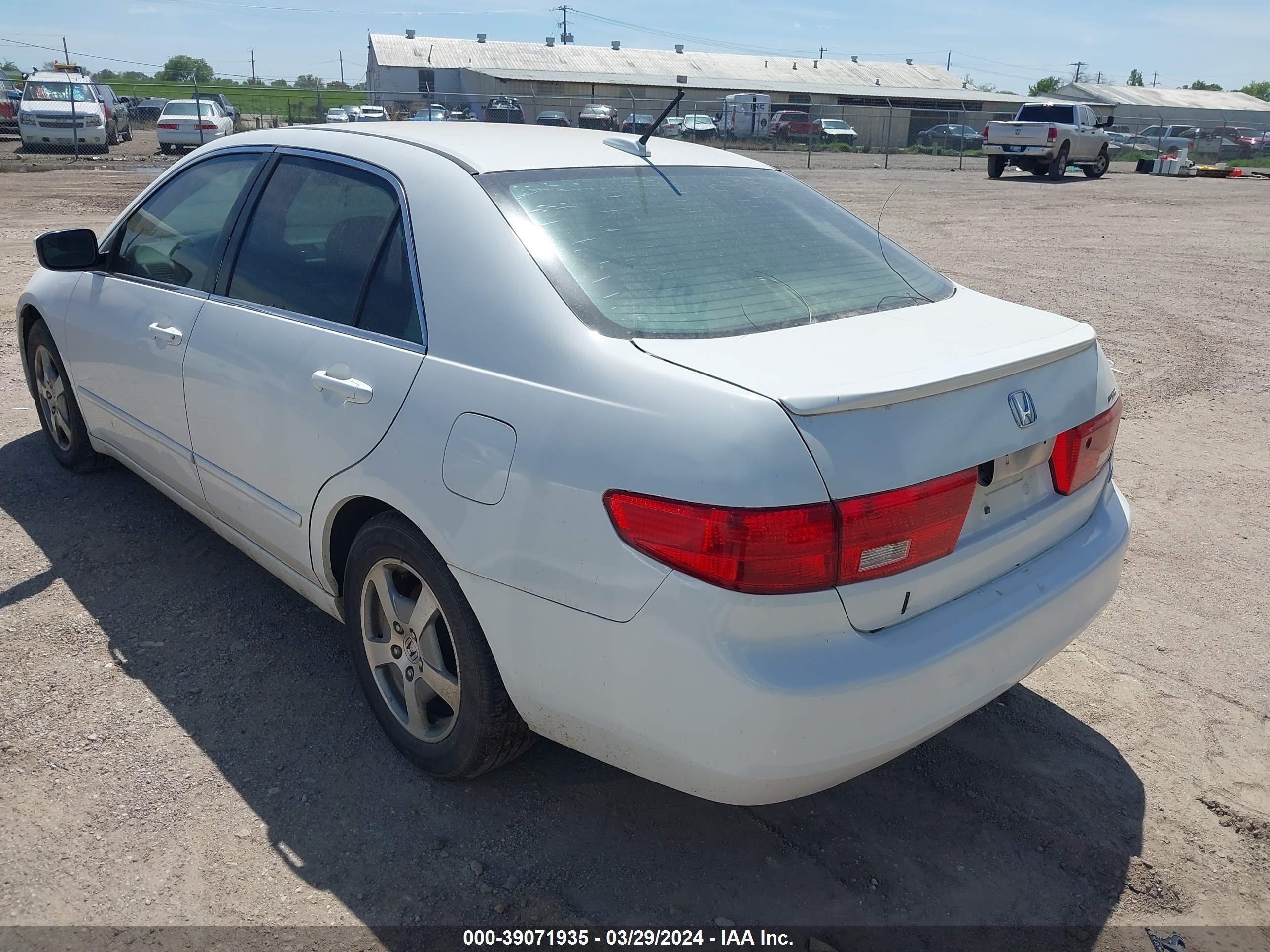 Photo 2 VIN: JHMCN36465C008876 - HONDA ACCORD 