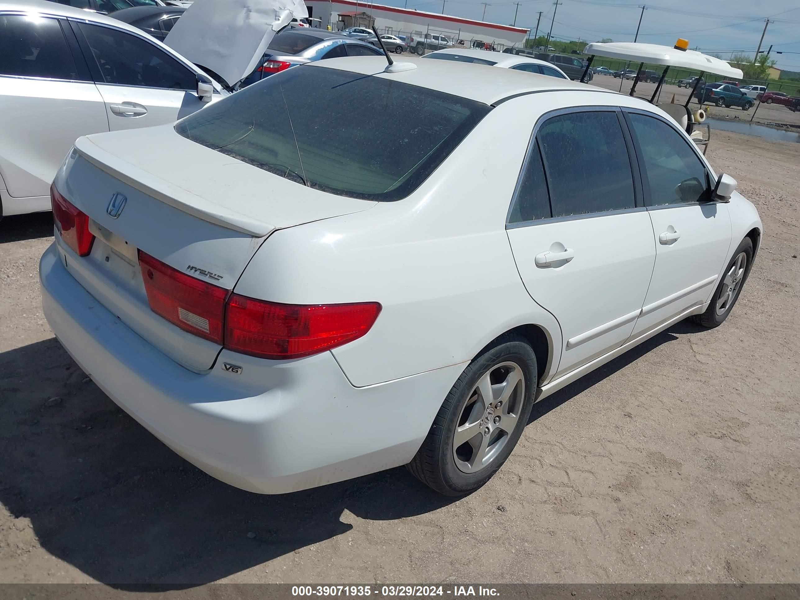 Photo 3 VIN: JHMCN36465C008876 - HONDA ACCORD 