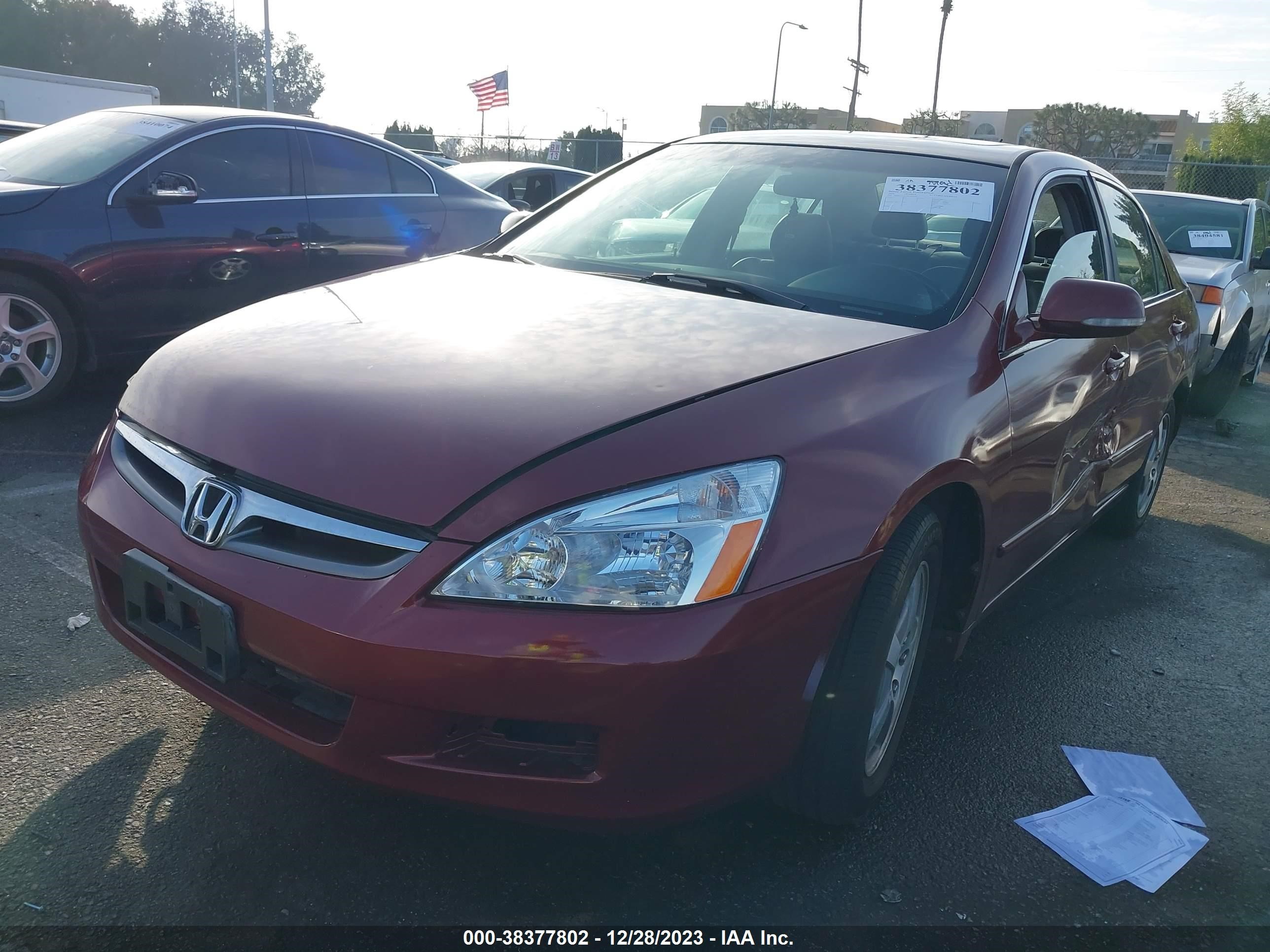 Photo 1 VIN: JHMCN36476C002019 - HONDA ACCORD 