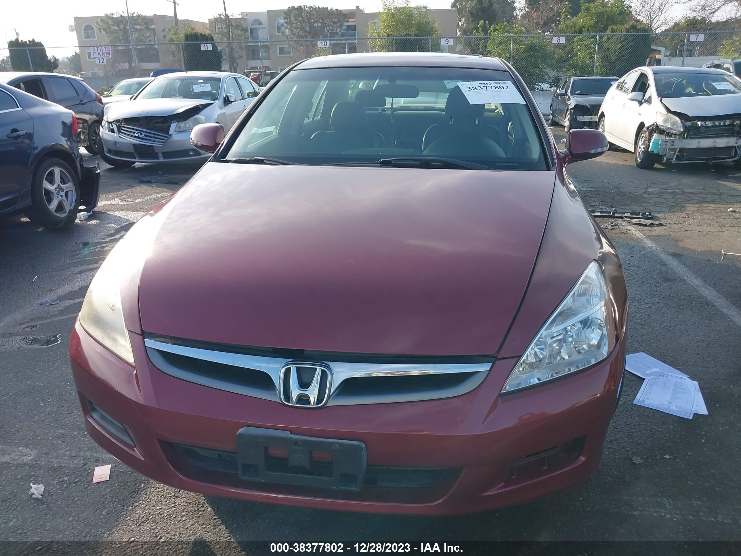 Photo 11 VIN: JHMCN36476C002019 - HONDA ACCORD 