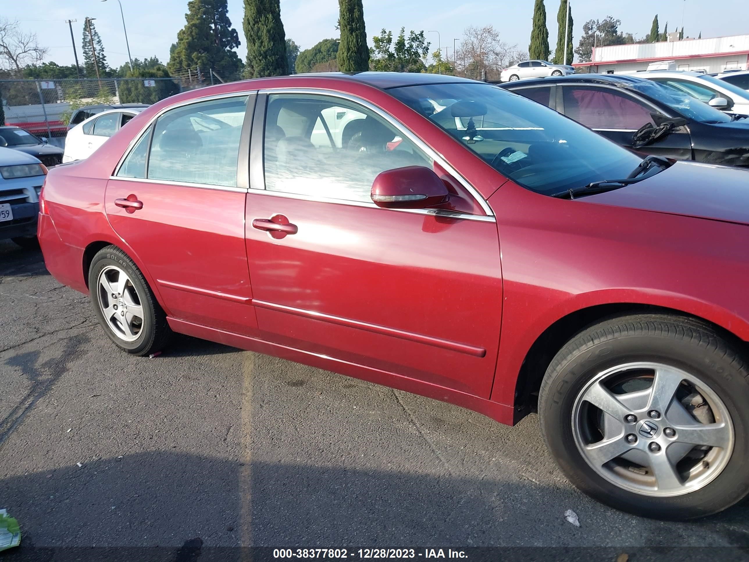 Photo 12 VIN: JHMCN36476C002019 - HONDA ACCORD 