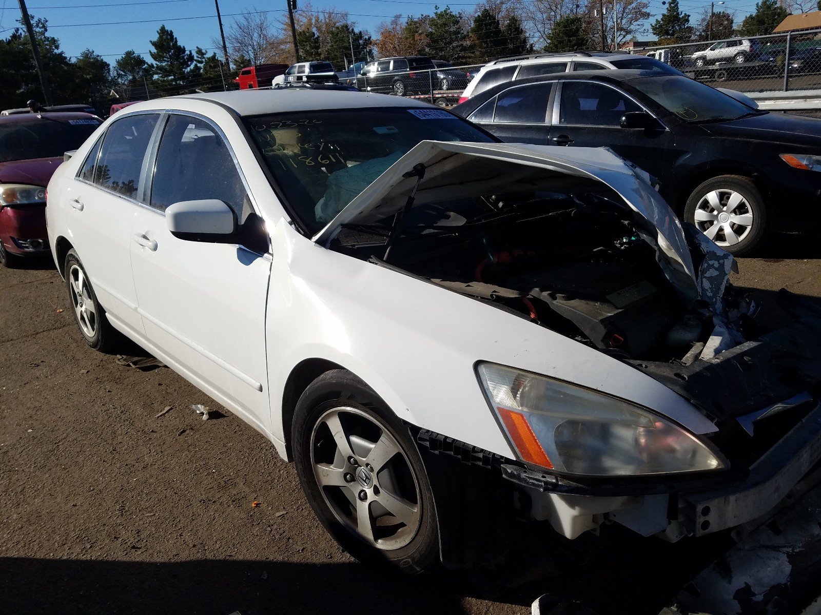 Photo 0 VIN: JHMCN36485C008877 - HONDA ACCORD HYB 