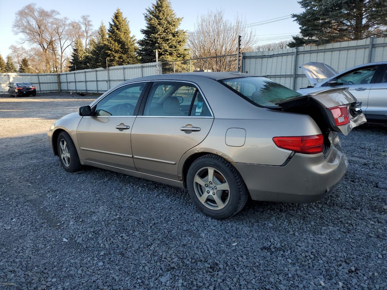 Photo 1 VIN: JHMCN364X5C003003 - HONDA ACCORD 