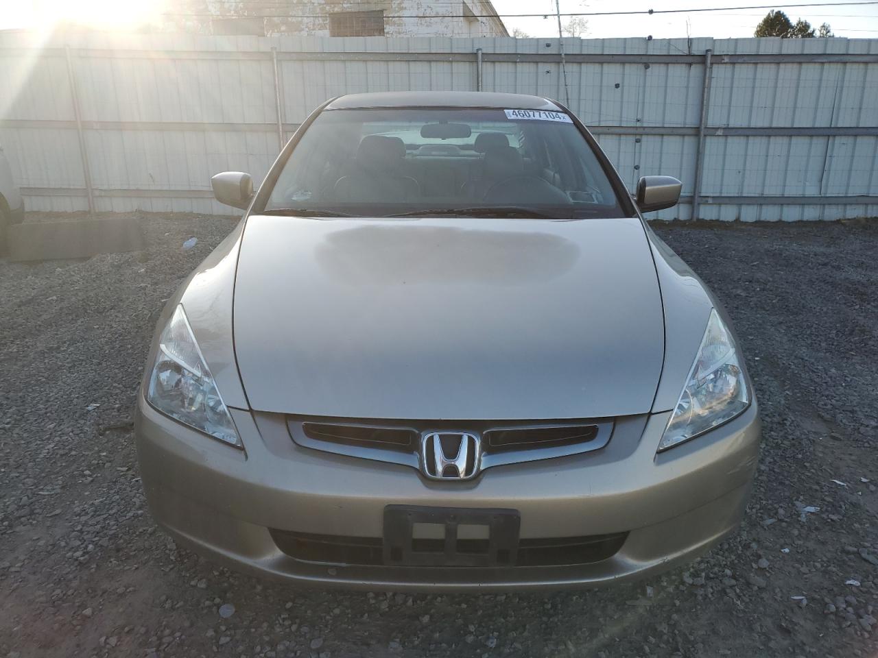 Photo 4 VIN: JHMCN364X5C003003 - HONDA ACCORD 