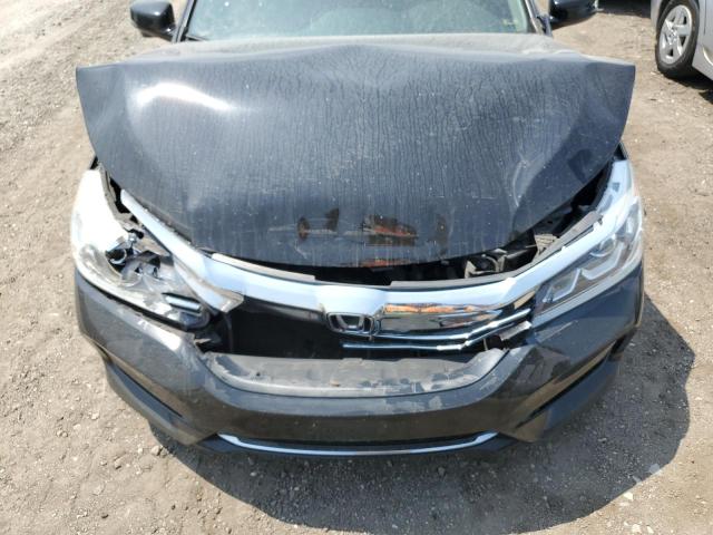 Photo 10 VIN: JHMCR6F51HC005967 - HONDA ACCORD 