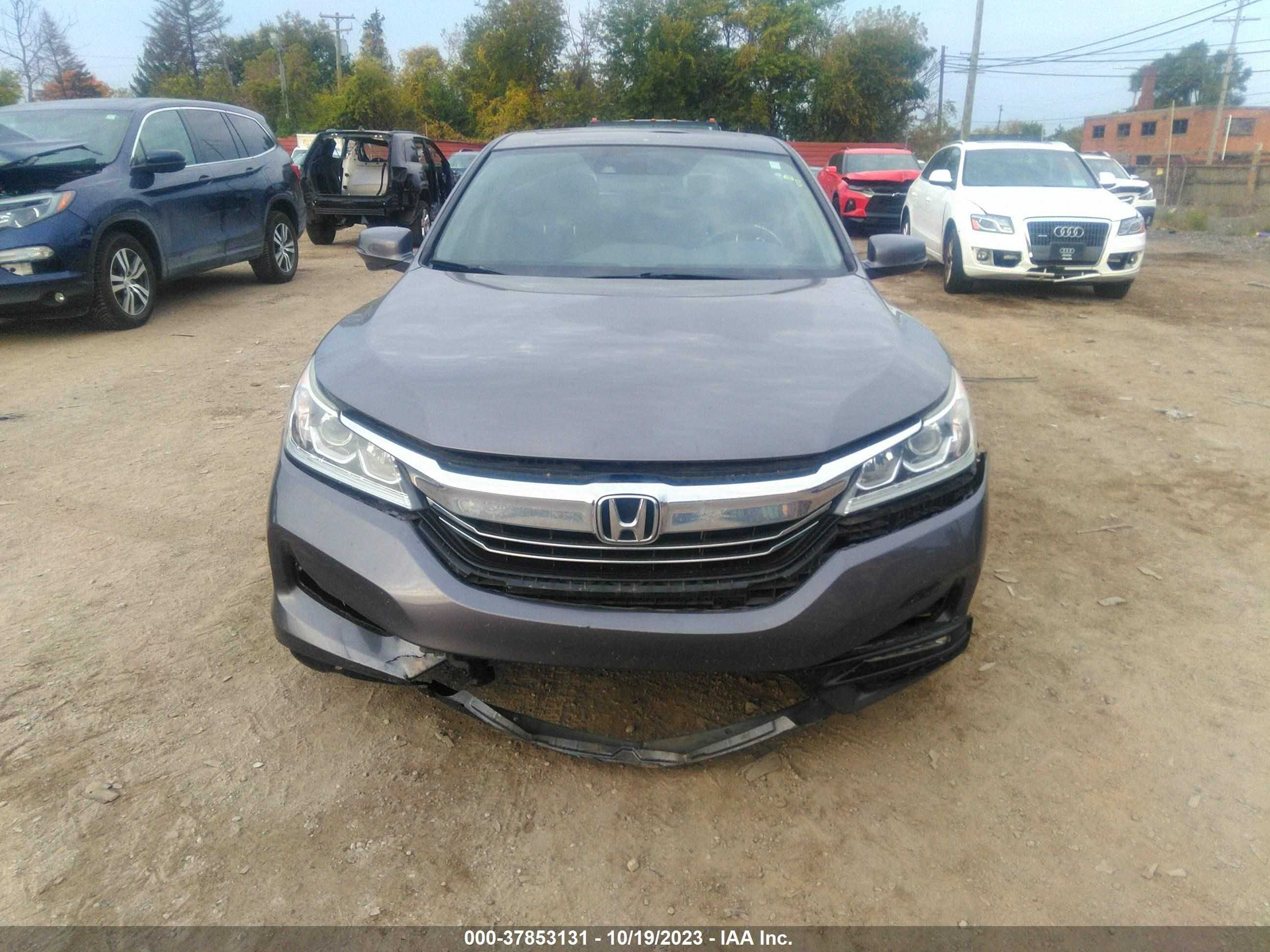 Photo 11 VIN: JHMCR6F55HC021542 - HONDA ACCORD 