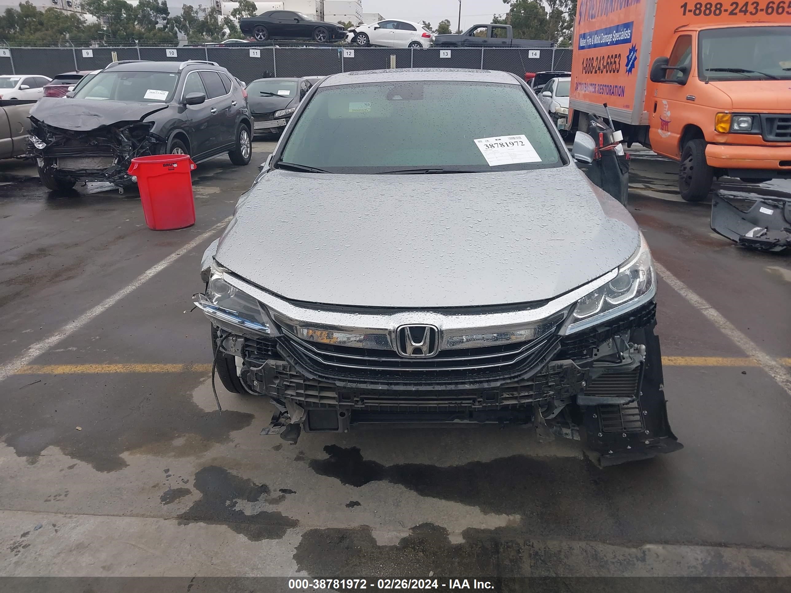 Photo 12 VIN: JHMCR6F58HC022832 - HONDA ACCORD 