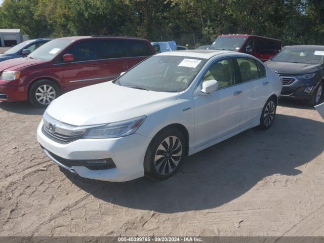 Photo 1 VIN: JHMCR6F76HC006002 - HONDA ACCORD 