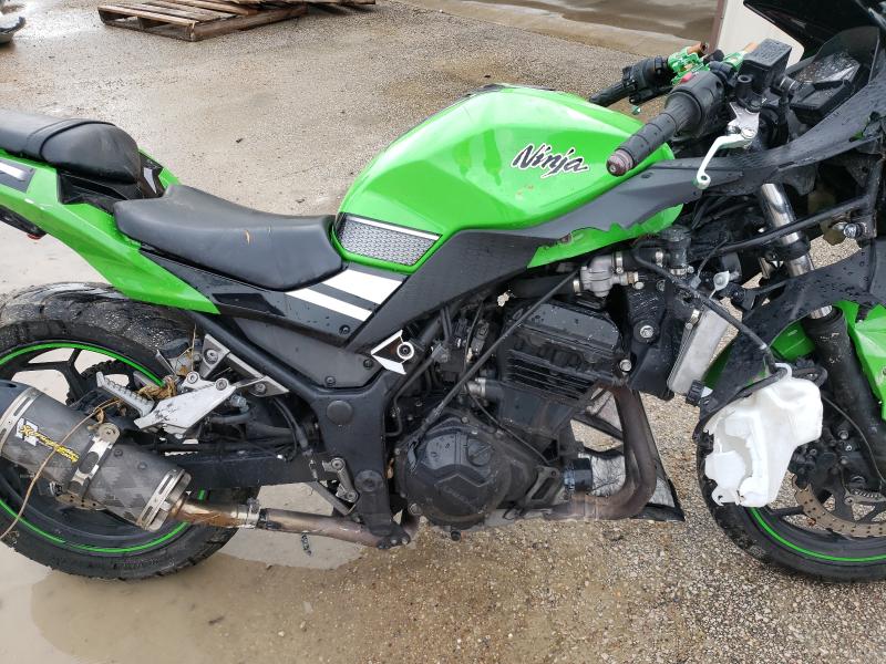 Photo 8 VIN: JKAEX8B11EA004799 - KAWASAKI EX300 B 