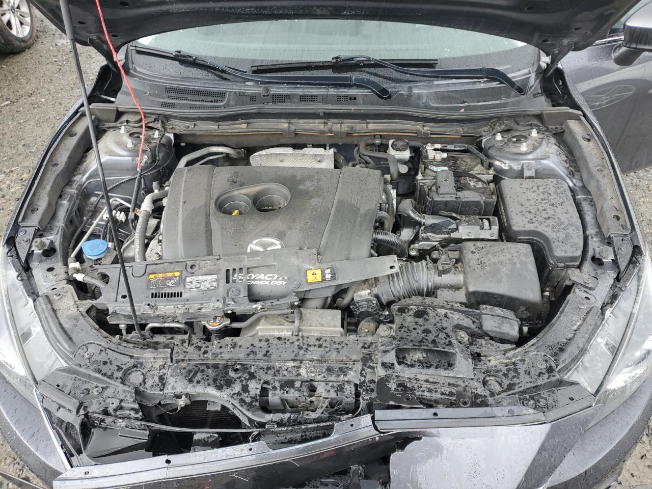 Photo 10 VIN: JM1BM1M38E1199520 - MAZDA 3 