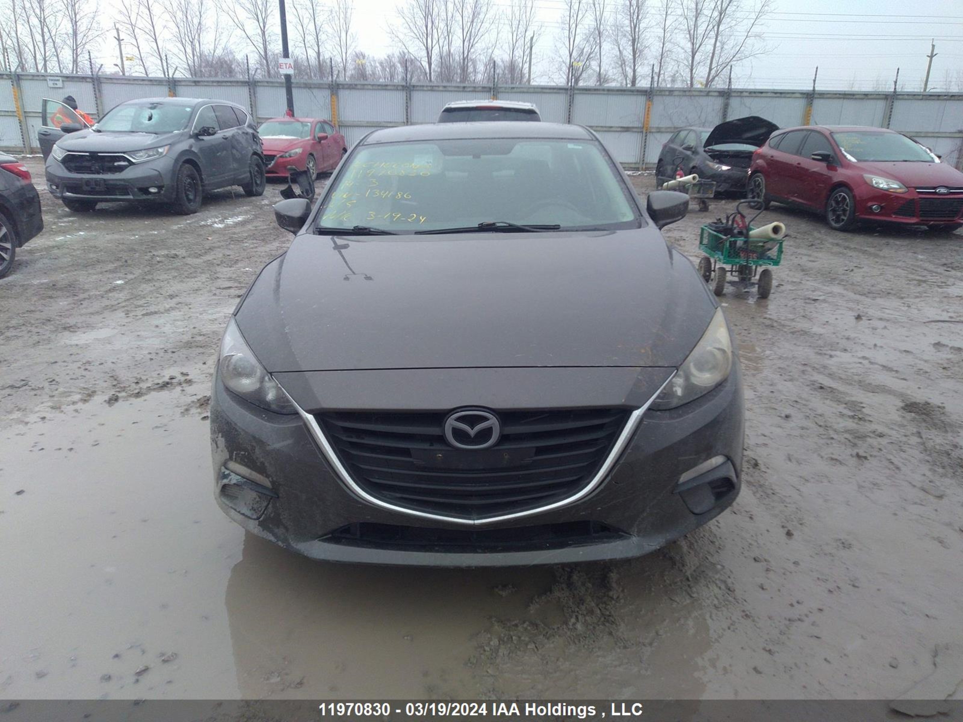 Photo 10 VIN: JM1BM1U71E1134186 - MAZDA 3 