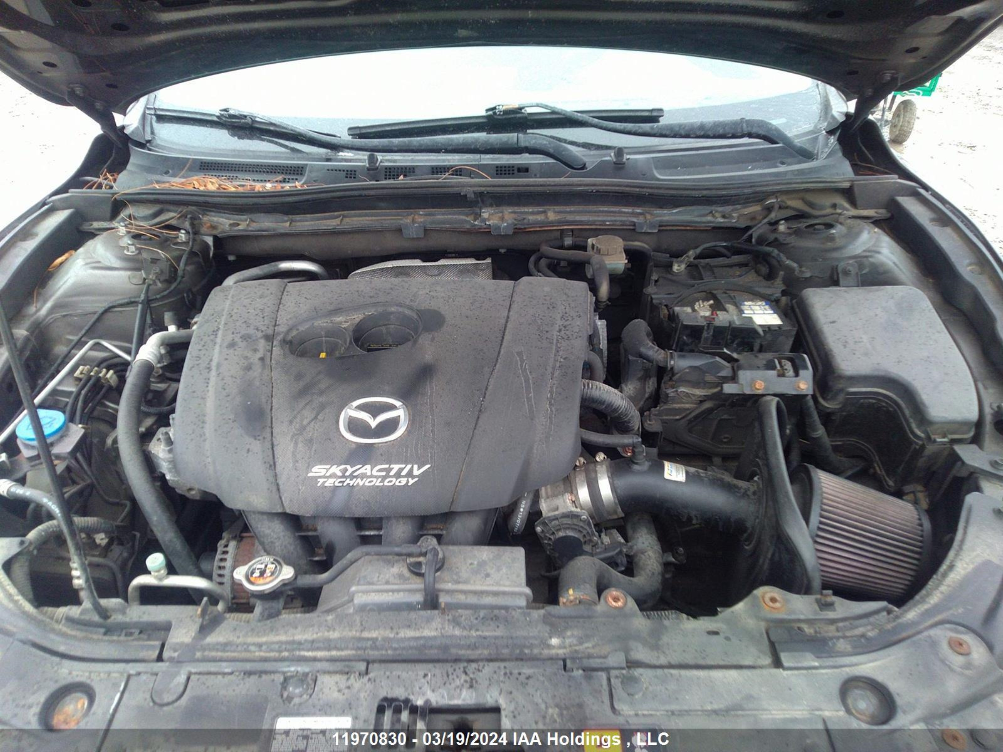 Photo 9 VIN: JM1BM1U71E1134186 - MAZDA 3 