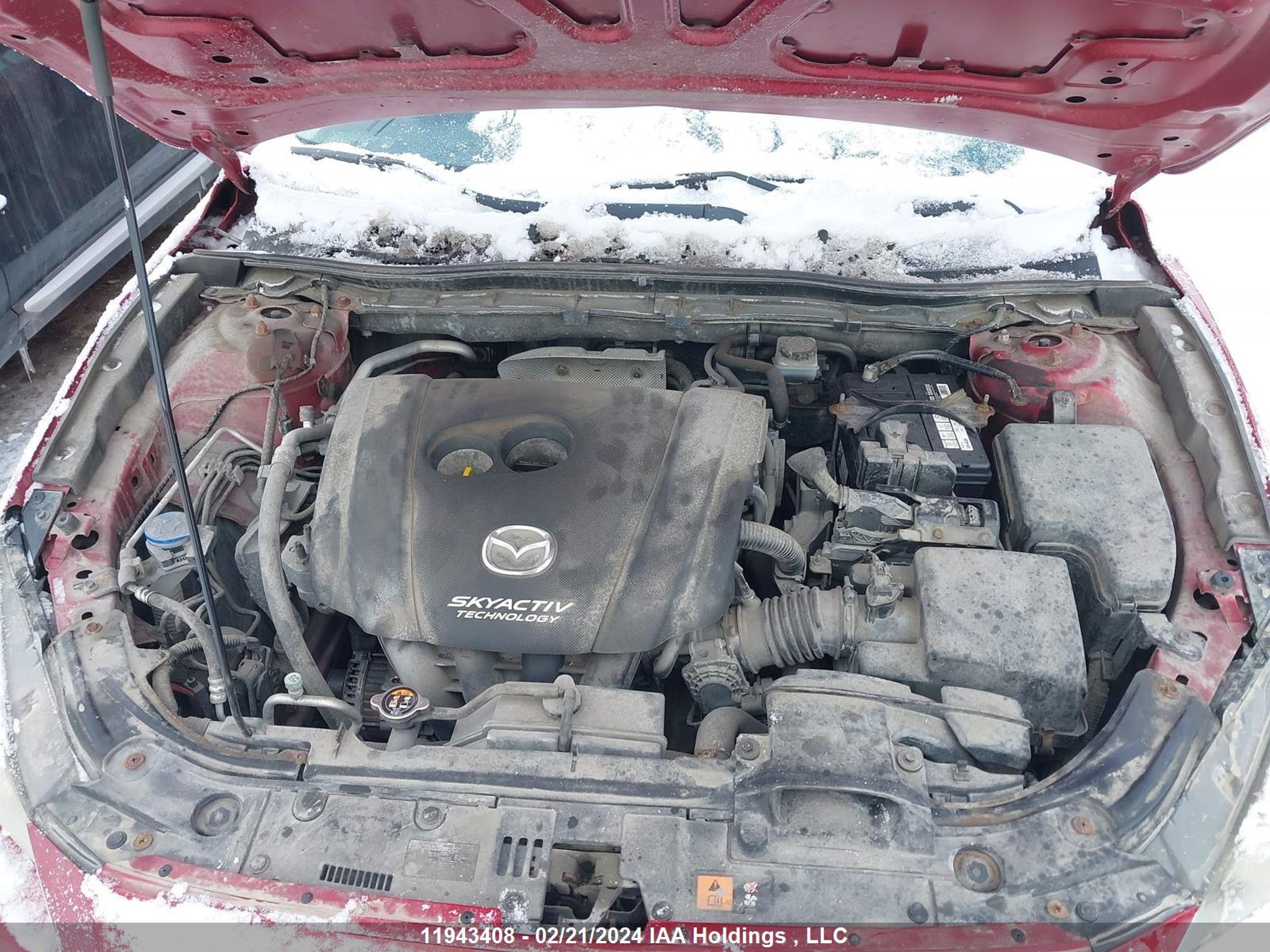 Photo 9 VIN: JM1BM1V72E1174582 - MAZDA 3 