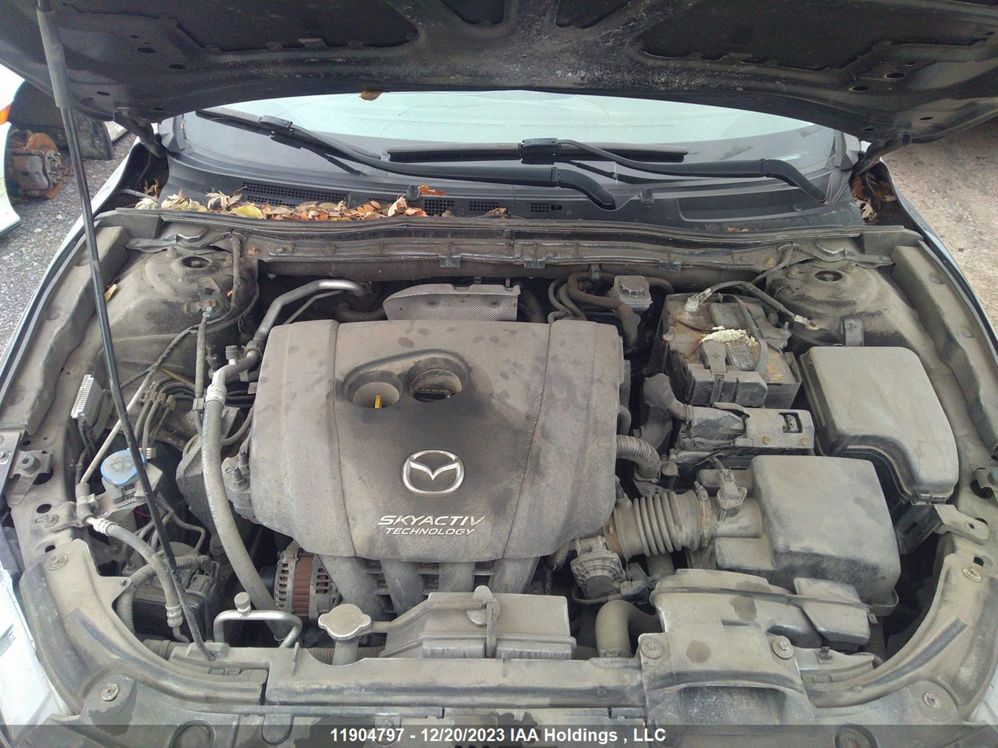 Photo 9 VIN: JM1BN1V78H1119054 - MAZDA 3 