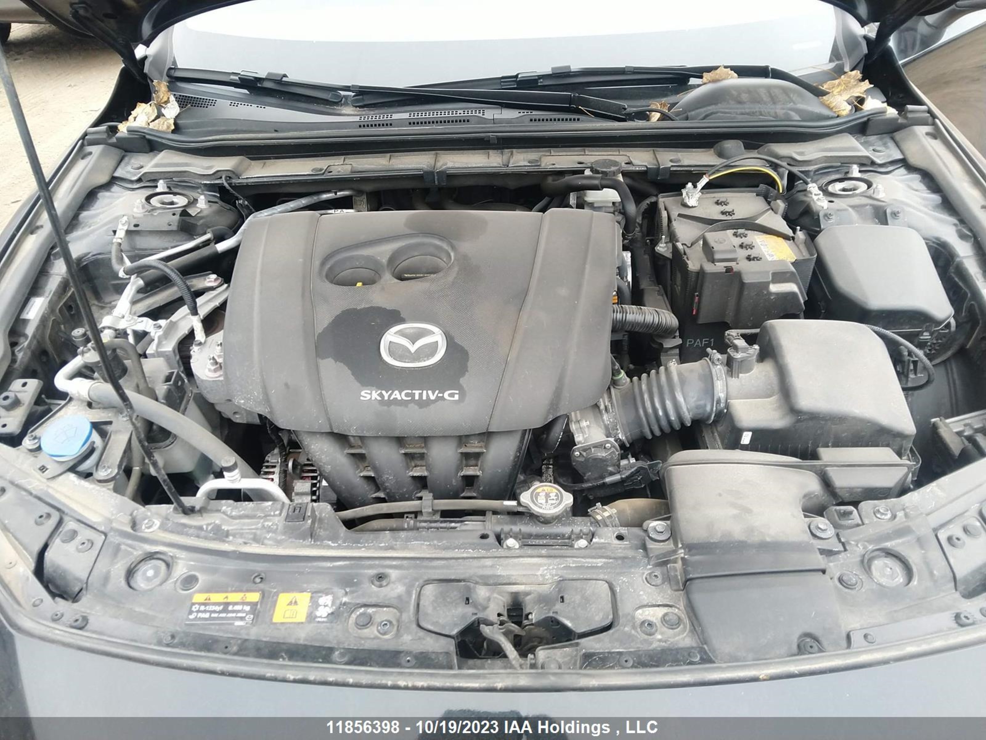 Photo 9 VIN: JM1BPAB79M1333804 - MAZDA 3 