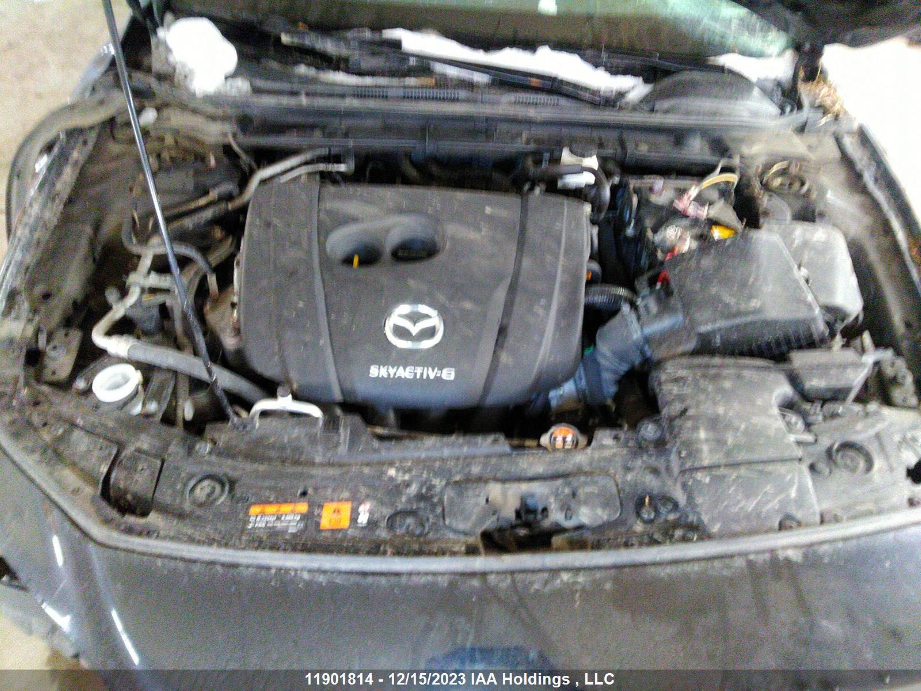 Photo 9 VIN: JM1BPALL0M1348624 - MAZDA 3 