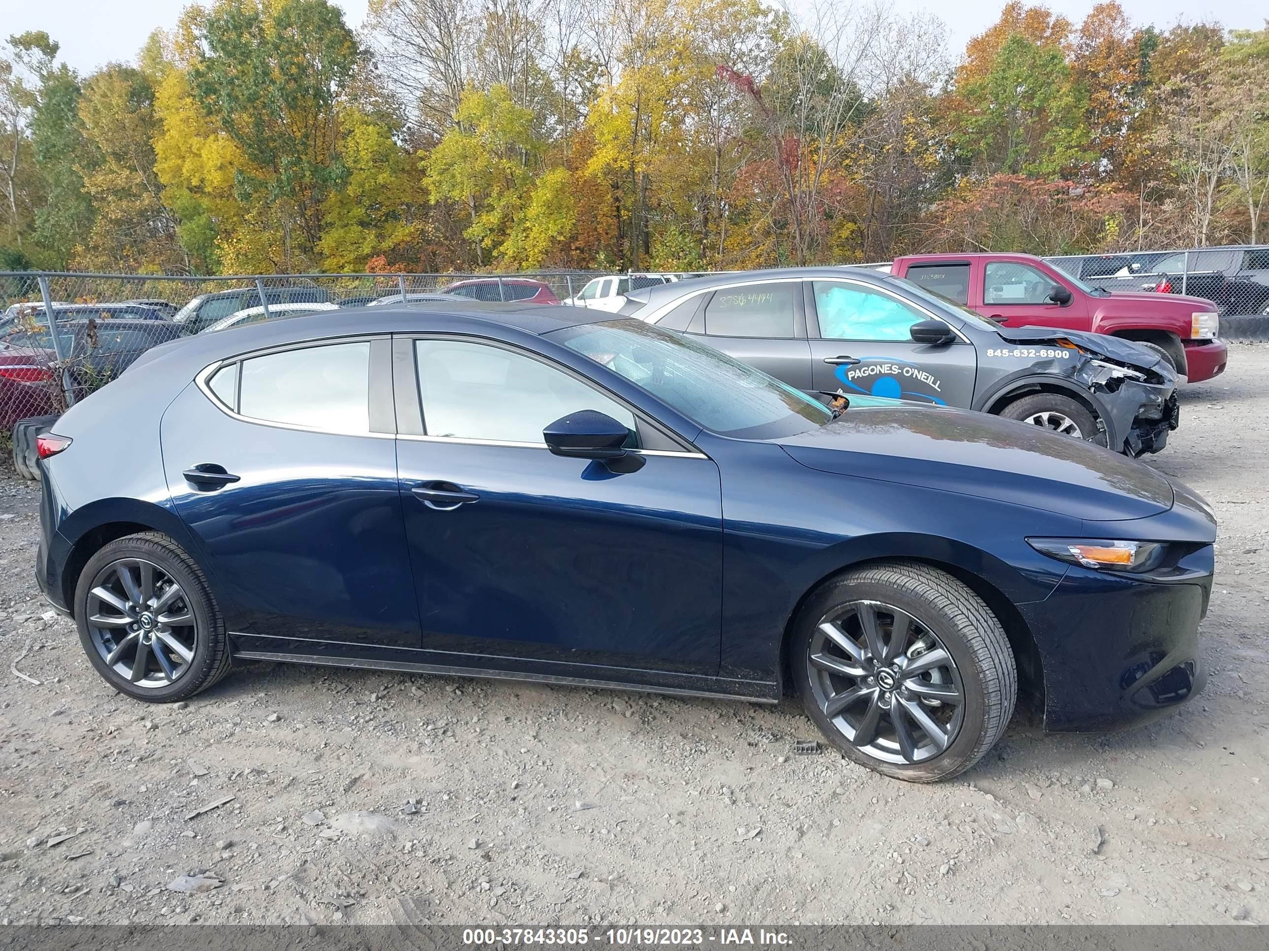 Photo 12 VIN: JM1BPALM3P1611816 - MAZDA MAZDA3 HATCHBACK 