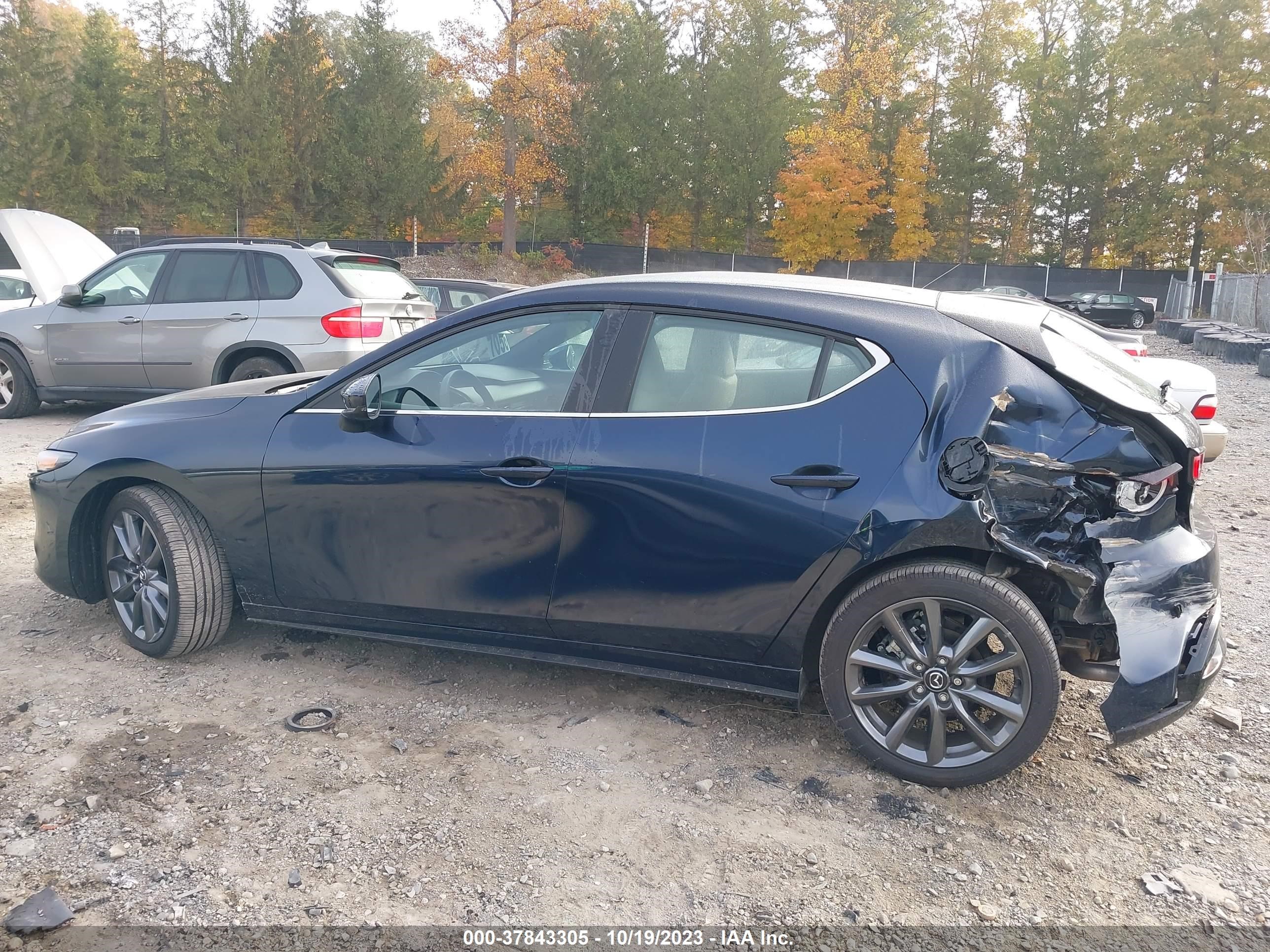 Photo 13 VIN: JM1BPALM3P1611816 - MAZDA MAZDA3 HATCHBACK 