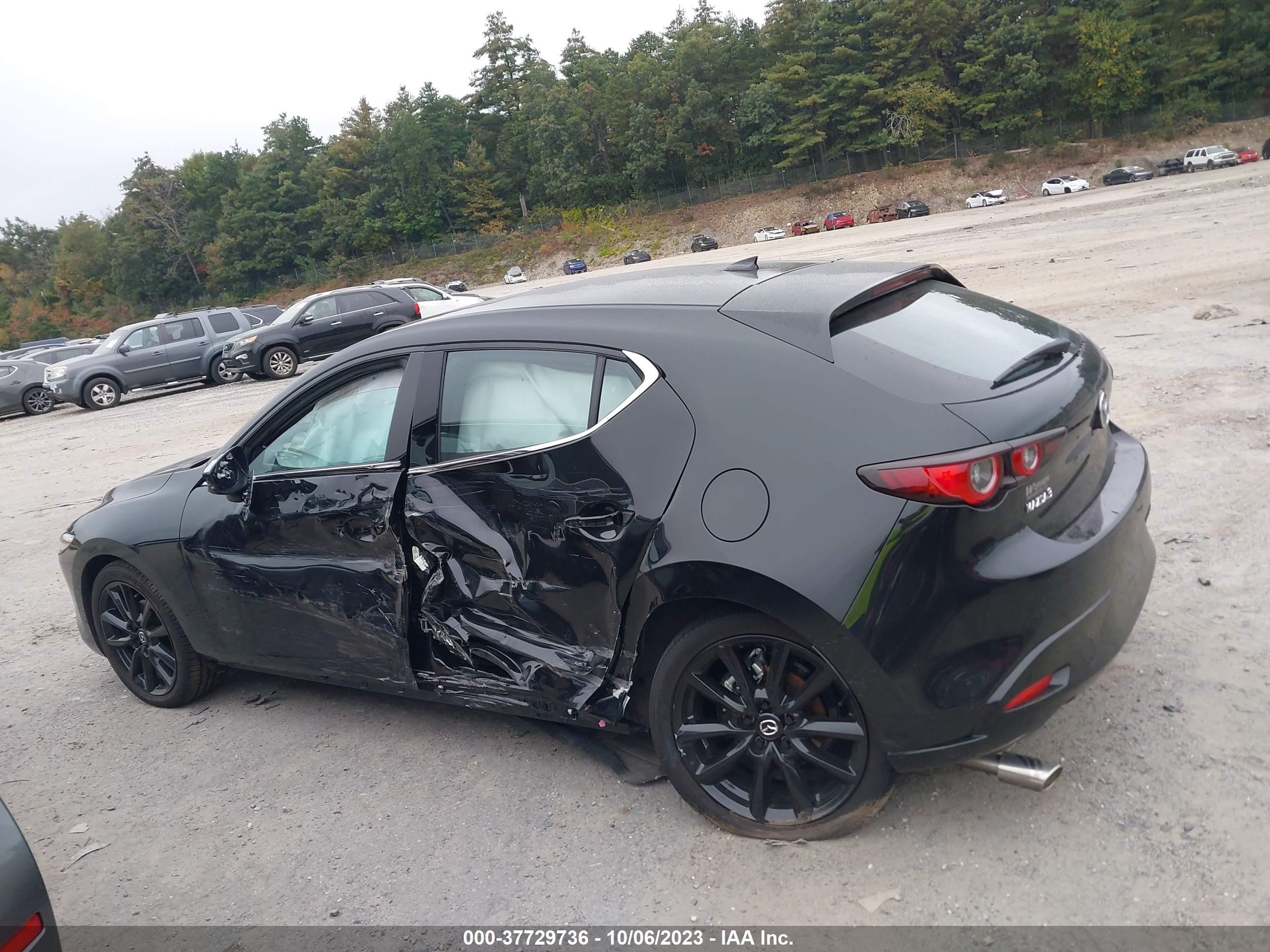 Photo 14 VIN: JM1BPAMM0P1611884 - MAZDA 3 