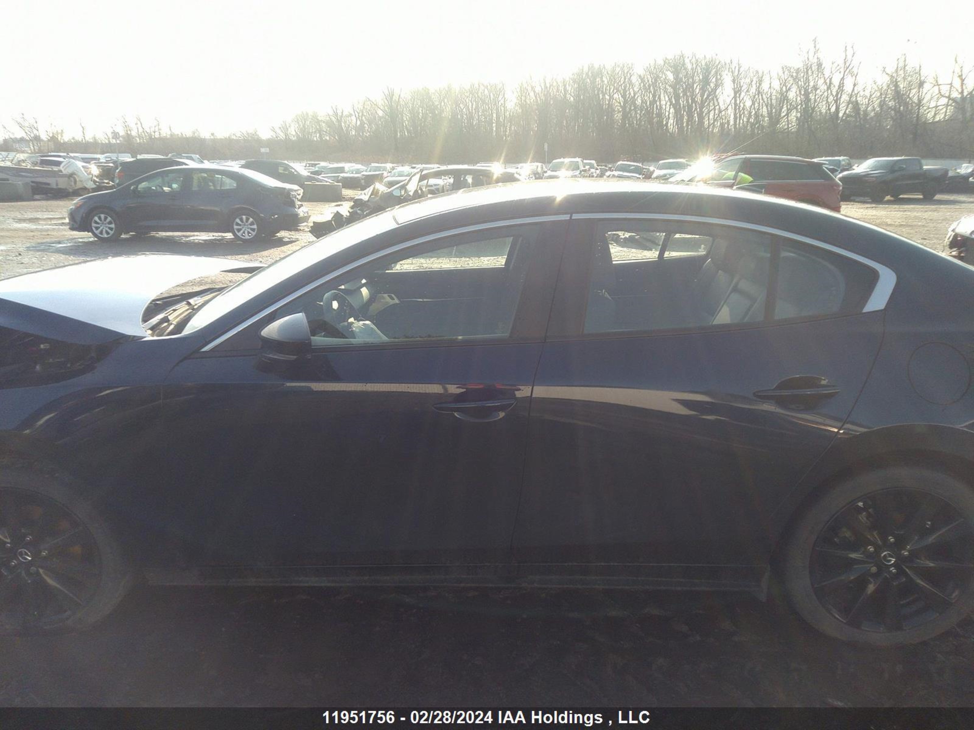 Photo 13 VIN: JM1BPBDY5M1317952 - MAZDA 3 