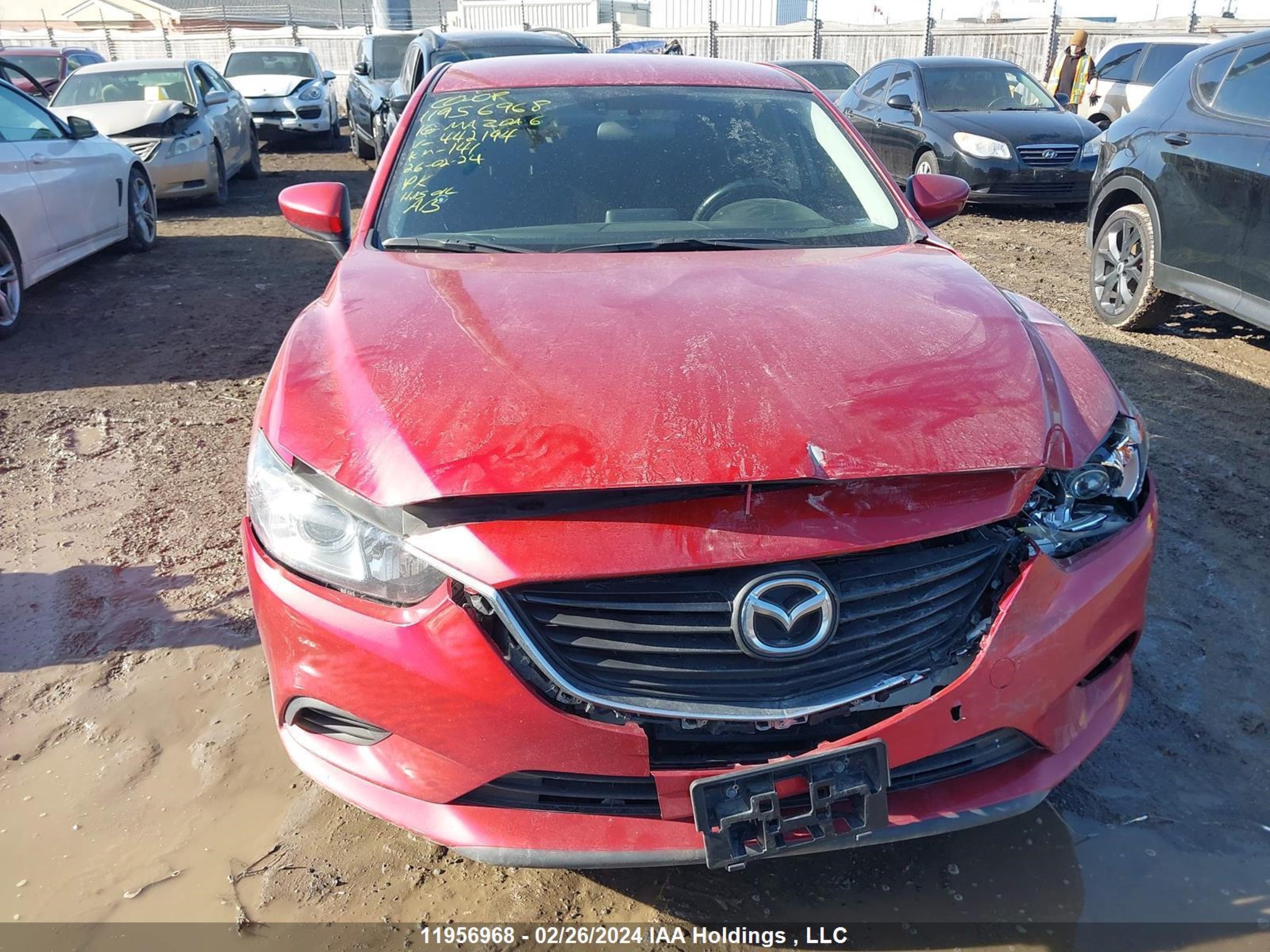 Photo 11 VIN: JM1GJ1V58G1442194 - MAZDA 6 