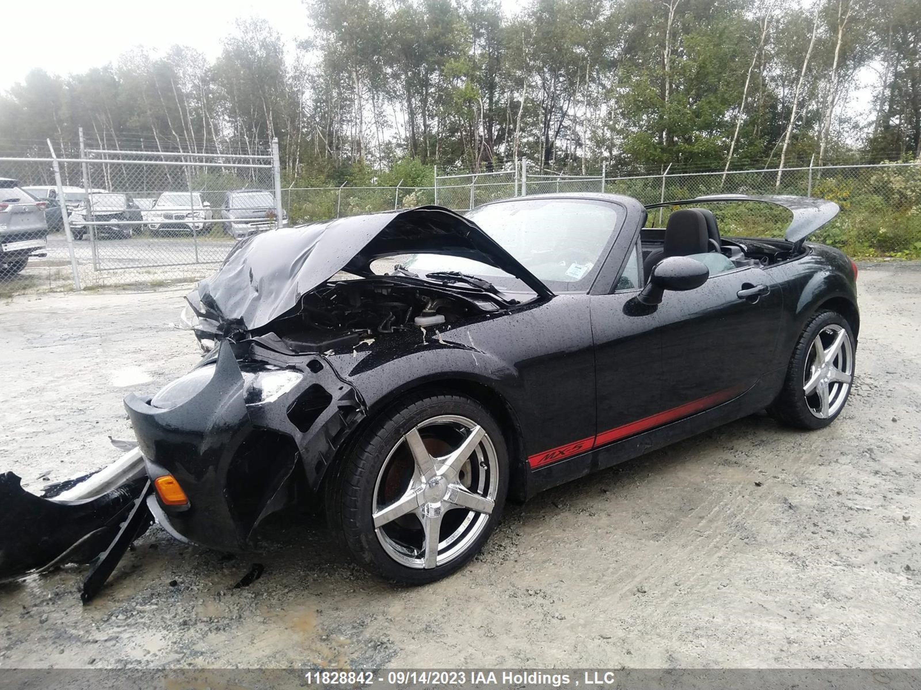 Photo 1 VIN: JM1NC2MF5D0230193 - MAZDA MX-5 