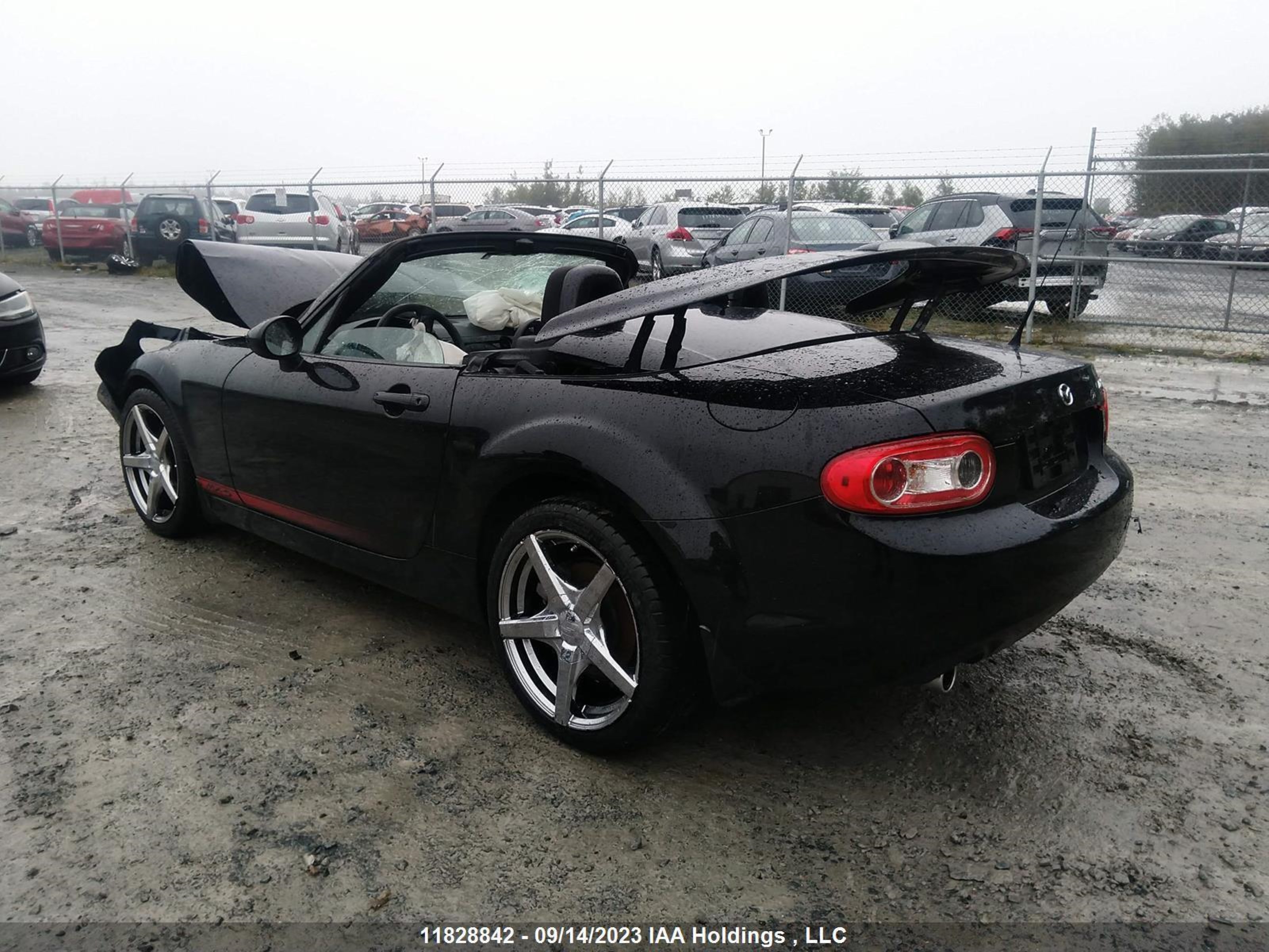 Photo 2 VIN: JM1NC2MF5D0230193 - MAZDA MX-5 