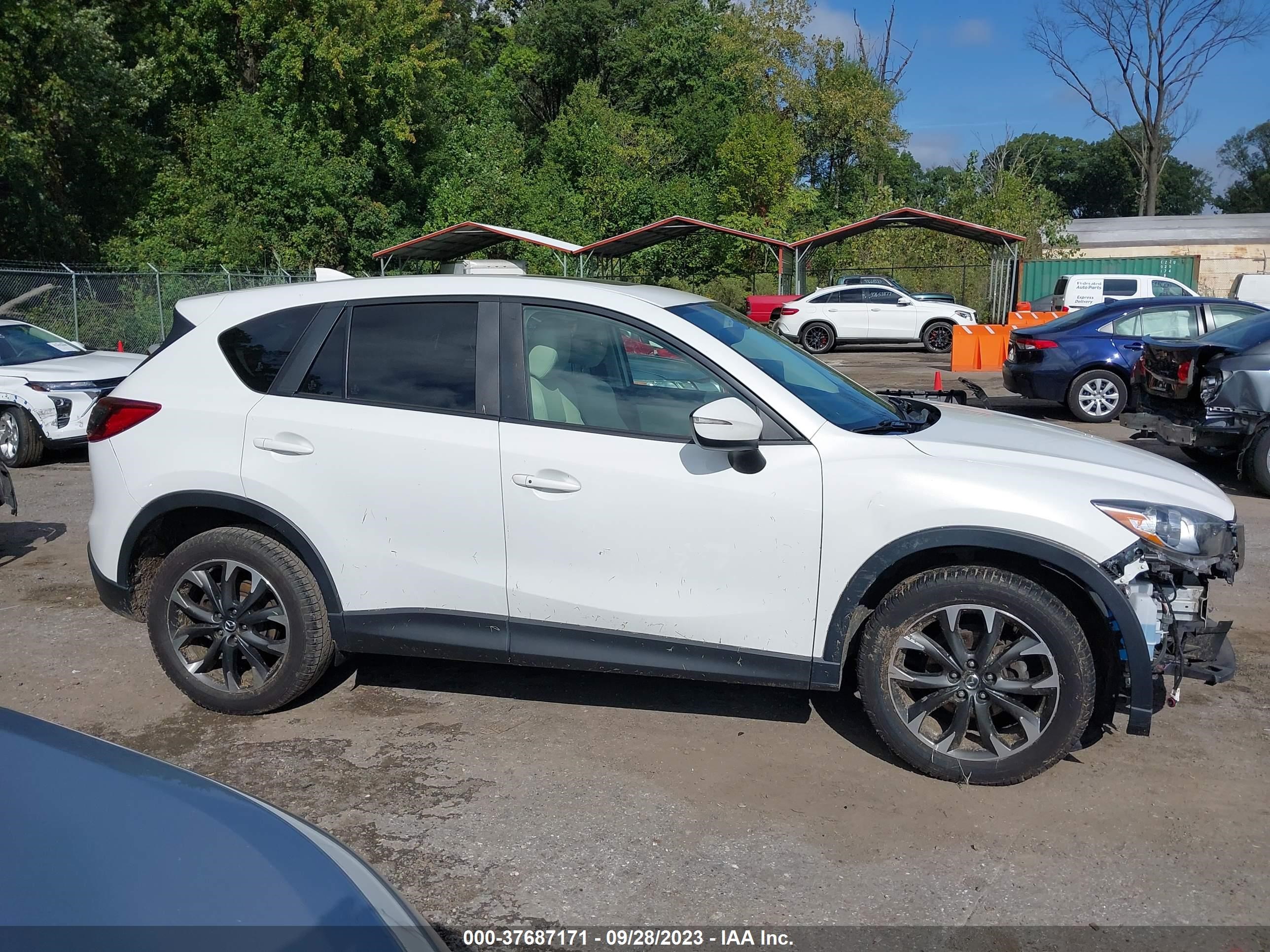 Photo 12 VIN: JM3KE4DY1G0751028 - MAZDA CX-5 