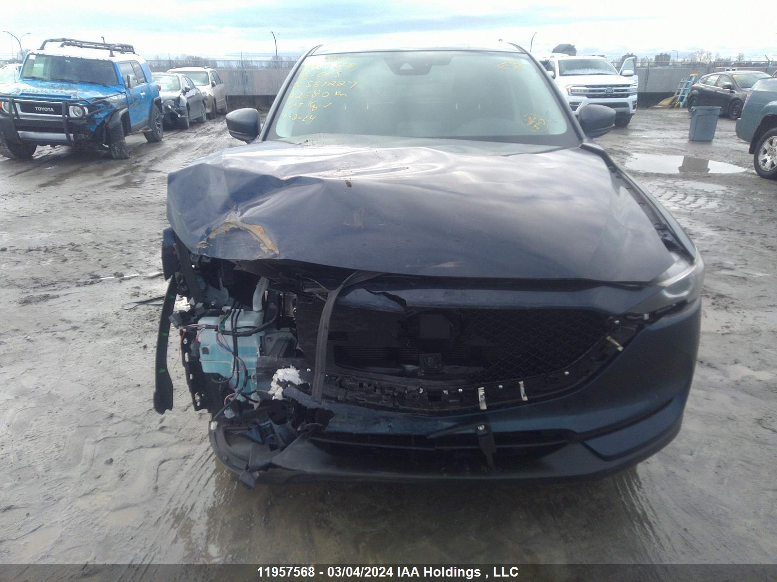 Photo 12 VIN: JM3KFACM0K1567227 - MAZDA CX-5 