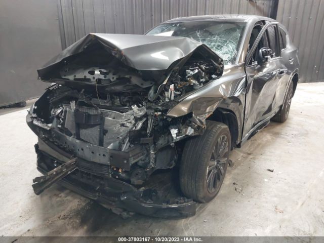 Photo 1 VIN: JM3KFBAY1N0567565 - MAZDA CX-5 