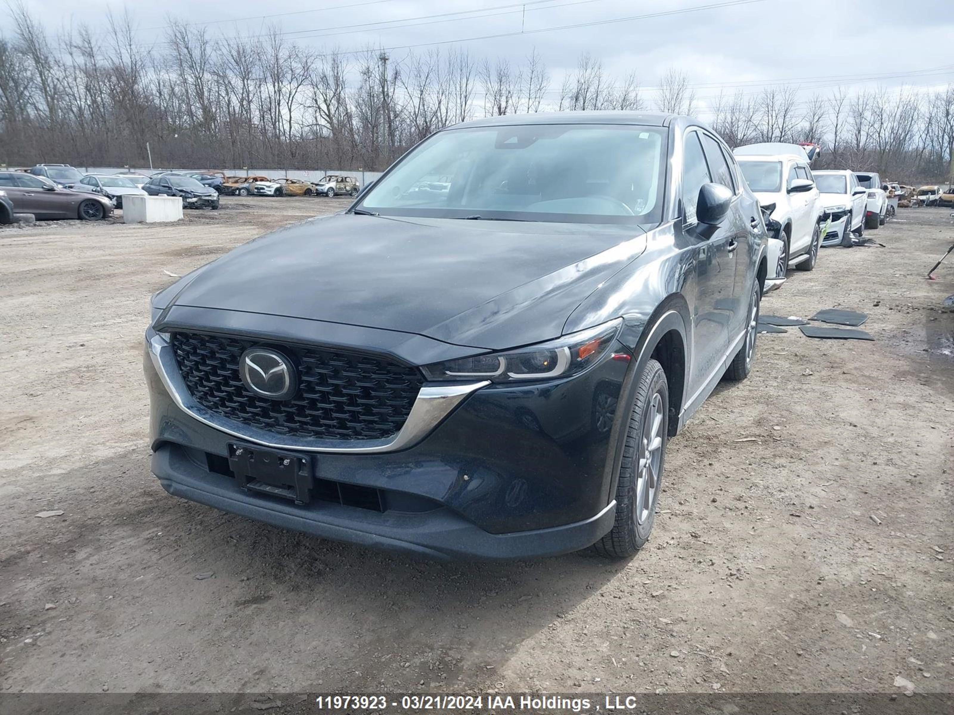 Photo 1 VIN: JM3KFBCM8P0225625 - MAZDA CX-5 