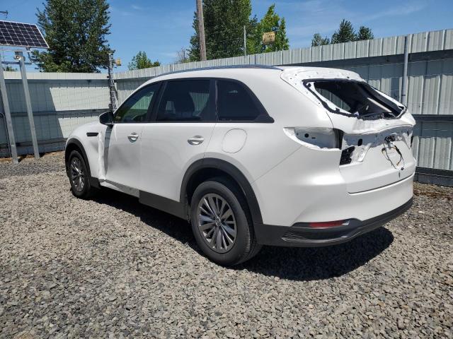 Photo 1 VIN: JM3KKAHD7R1162139 - MAZDA CX-90 SELE 