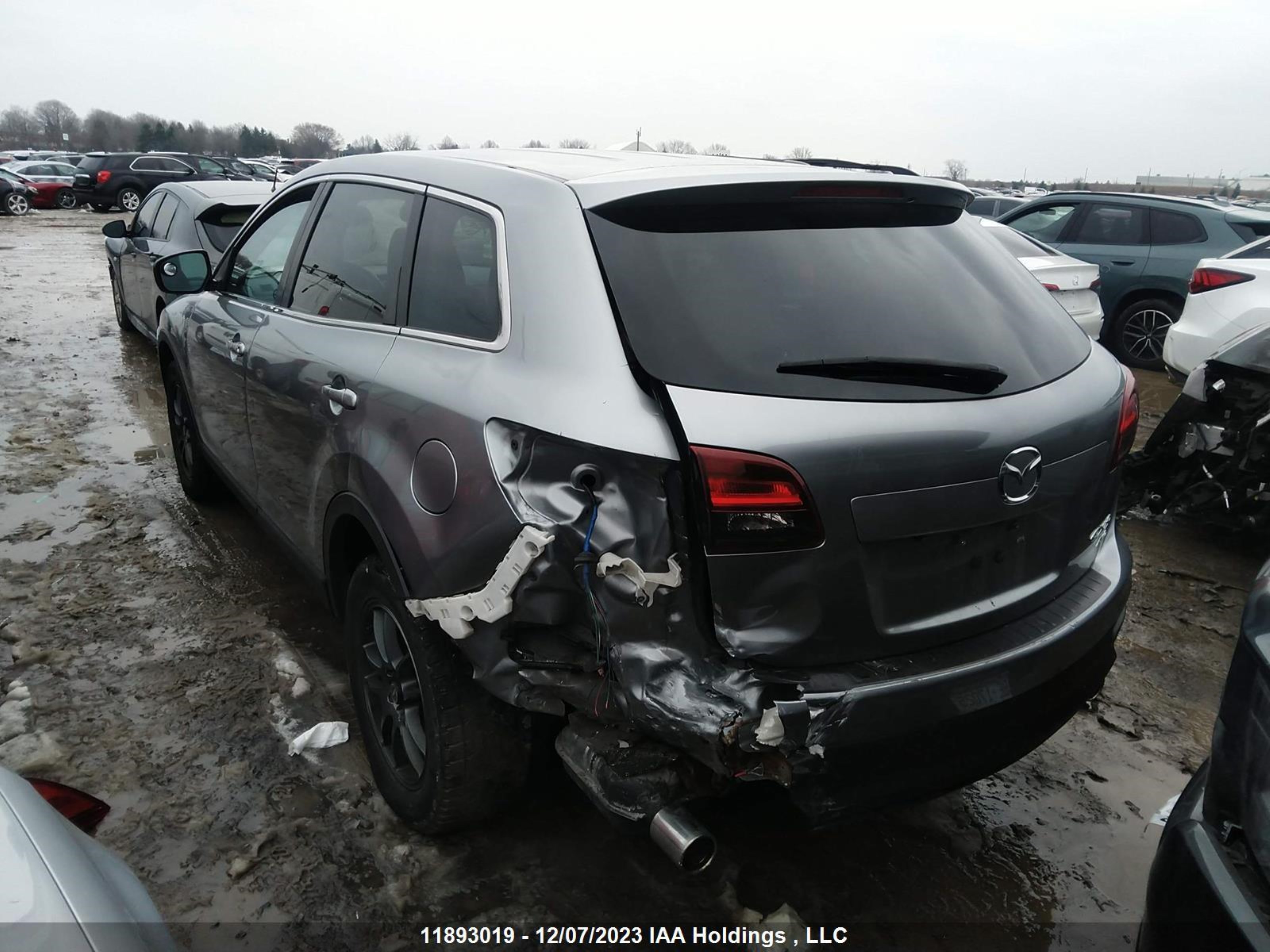 Photo 2 VIN: JM3TB3CA1F0450530 - MAZDA CX-9 