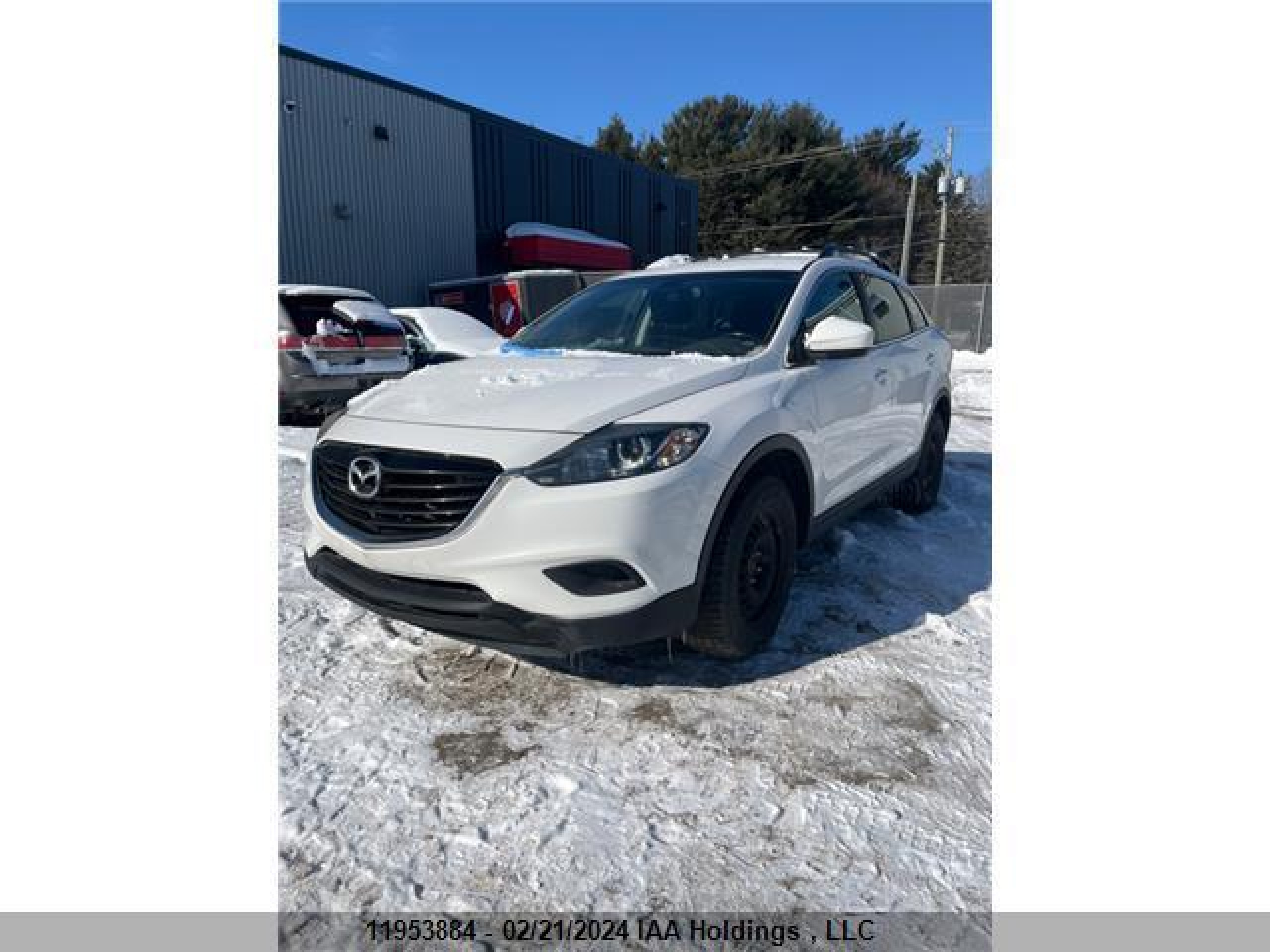 Photo 1 VIN: JM3TB3CA7F0466635 - MAZDA CX-9 