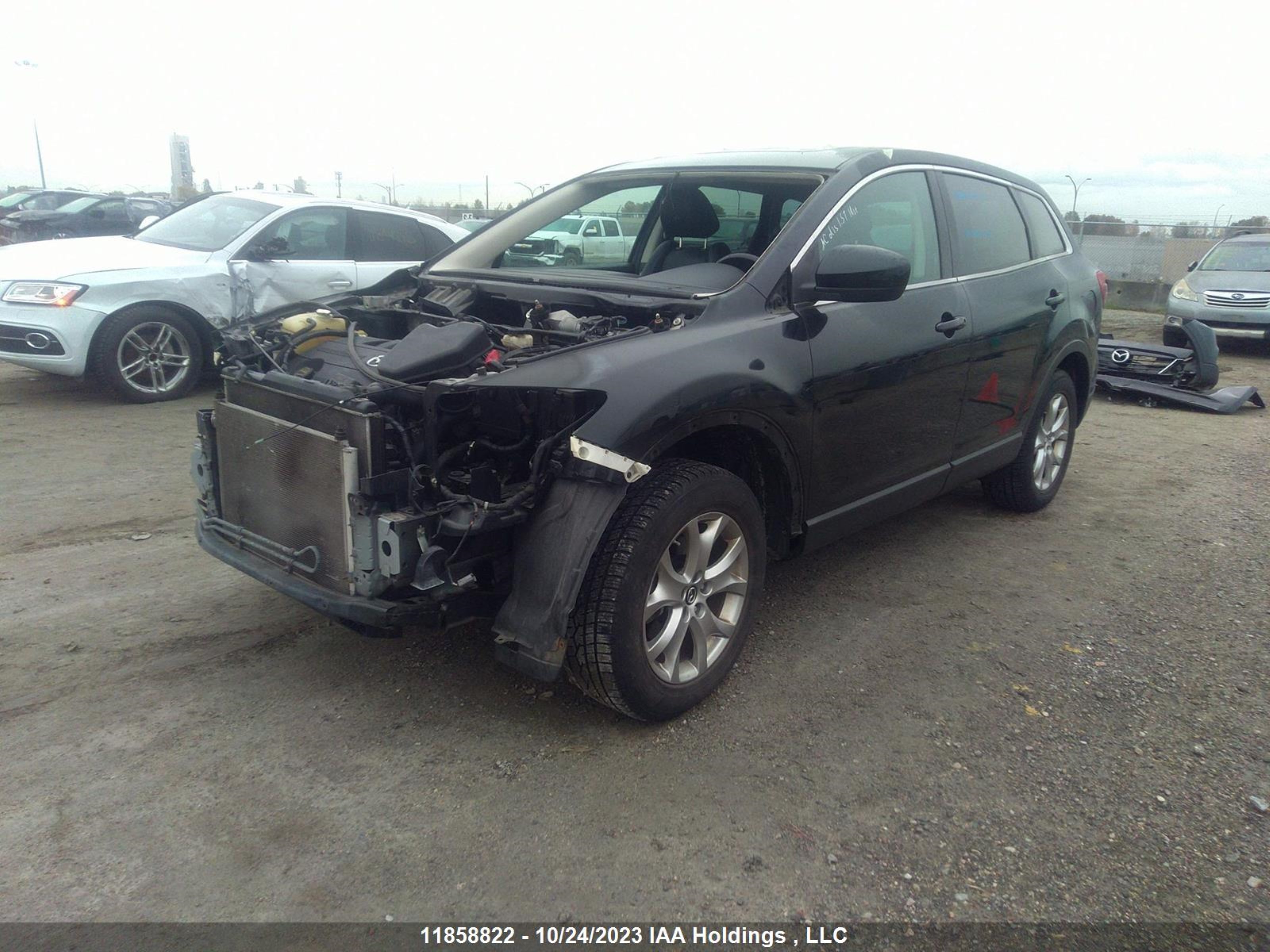 Photo 1 VIN: JM3TB3CA9E0436101 - MAZDA CX-9 