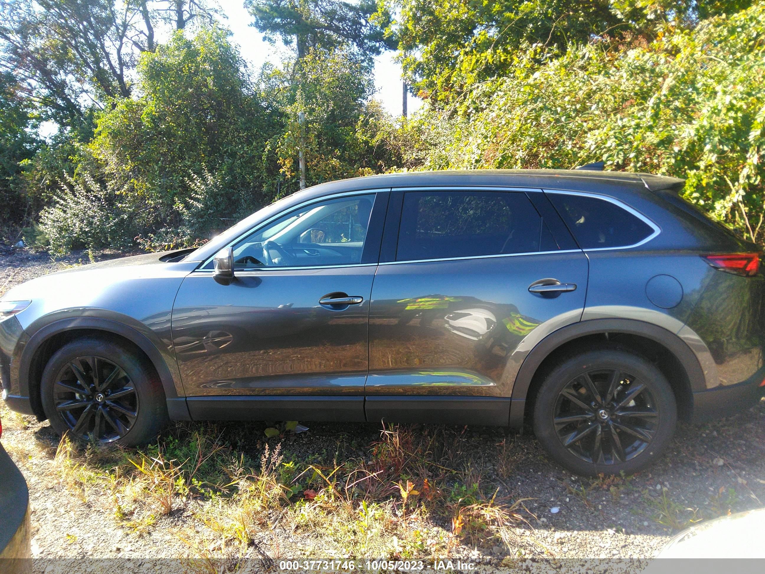 Photo 13 VIN: JM3TCBAY6P0638078 - MAZDA CX-9 