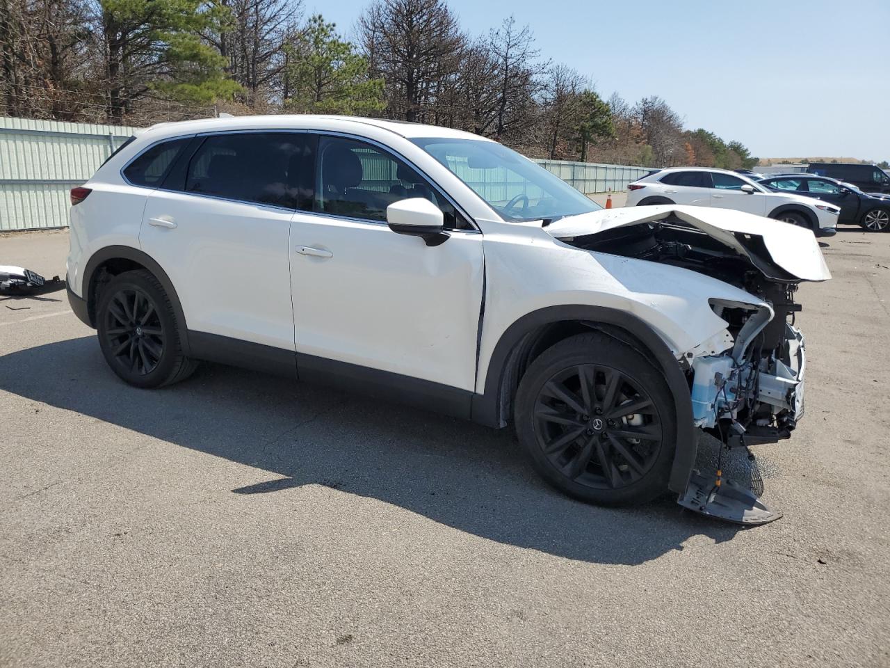 Photo 3 VIN: JM3TCBAYXP0653909 - MAZDA CX-9 