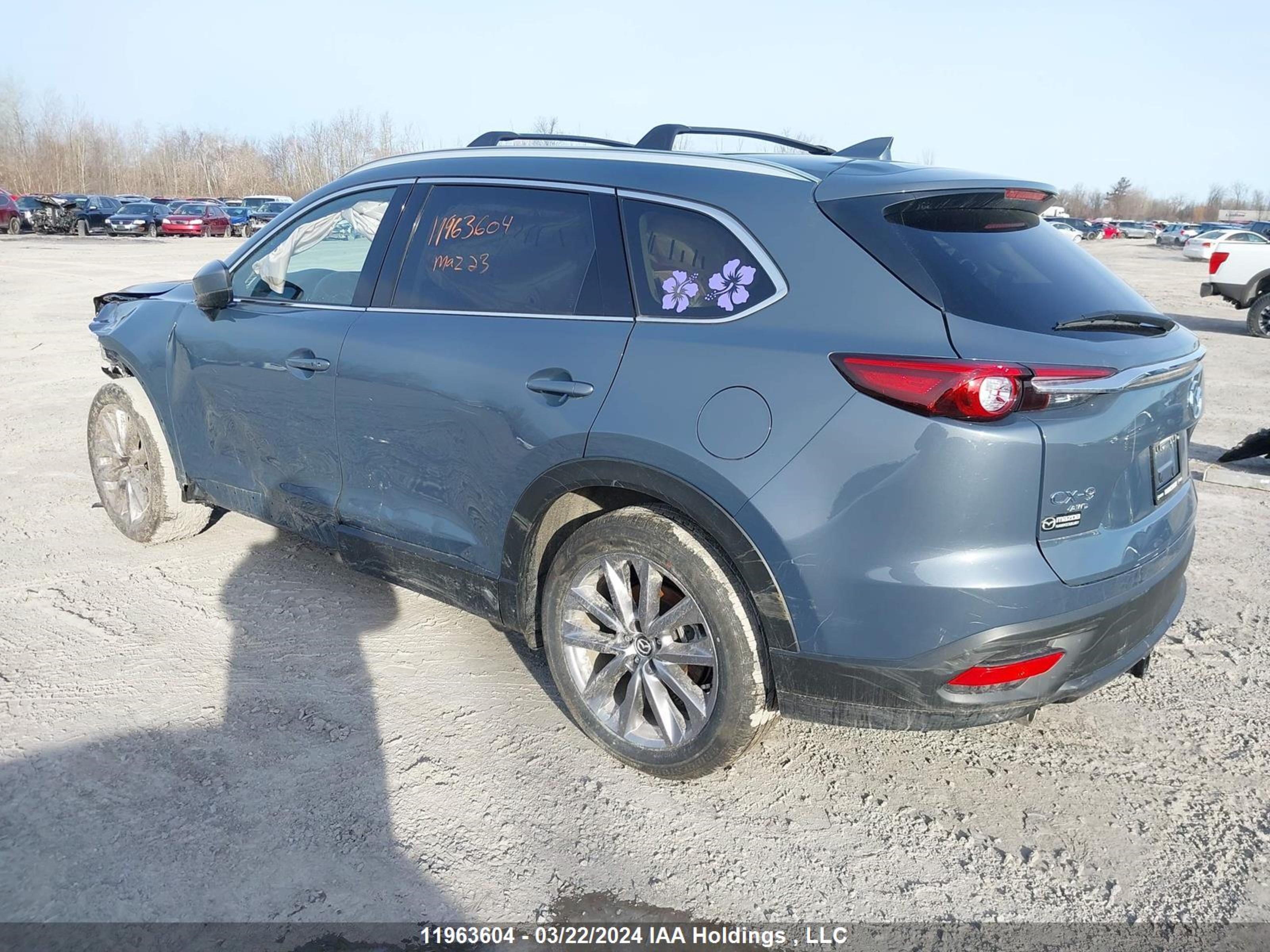 Photo 2 VIN: JM3TCBCY3P0659600 - MAZDA CX-9 