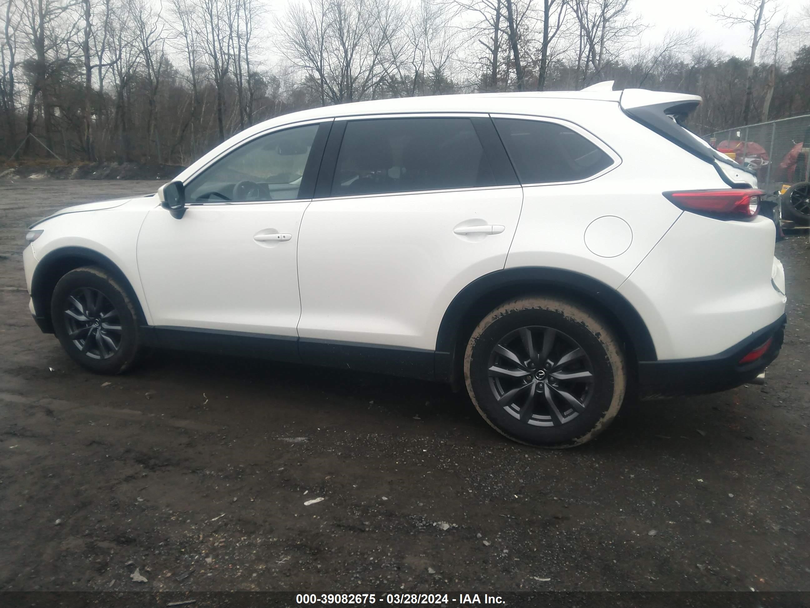 Photo 13 VIN: JM3TCBCY4M0515839 - MAZDA CX-9 