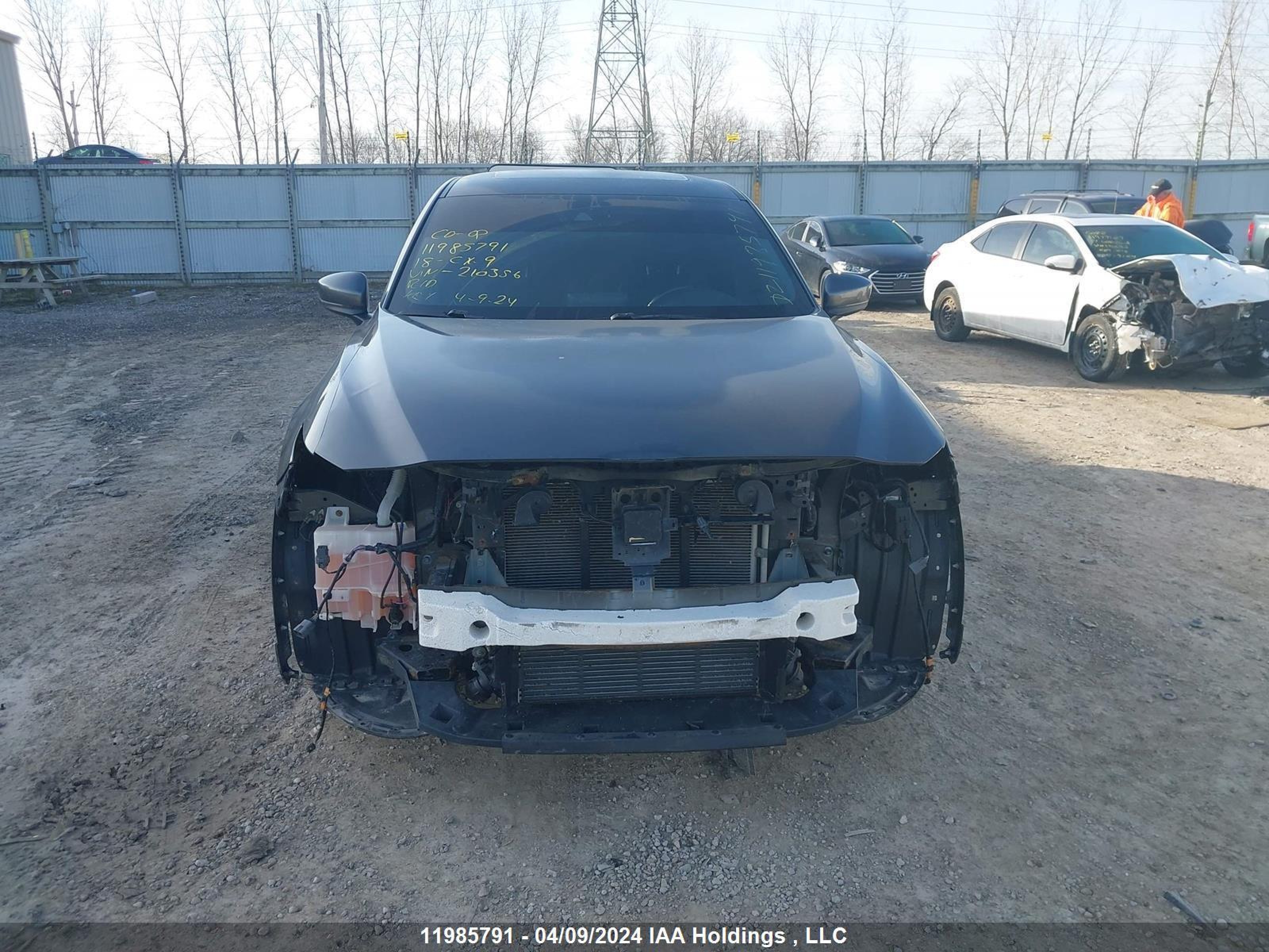 Photo 11 VIN: JM3TCBDY1J0210356 - MAZDA CX-9 