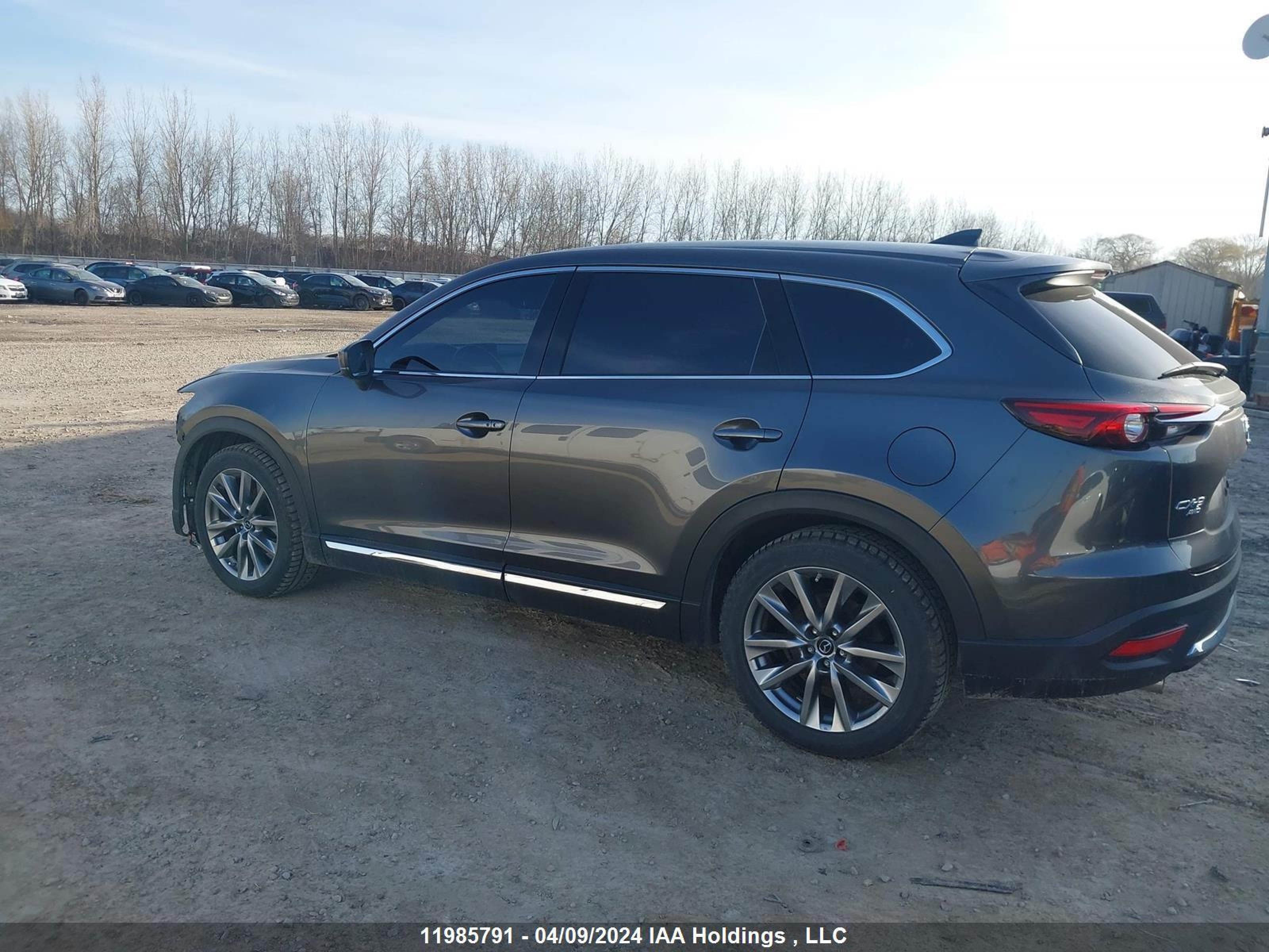 Photo 13 VIN: JM3TCBDY1J0210356 - MAZDA CX-9 