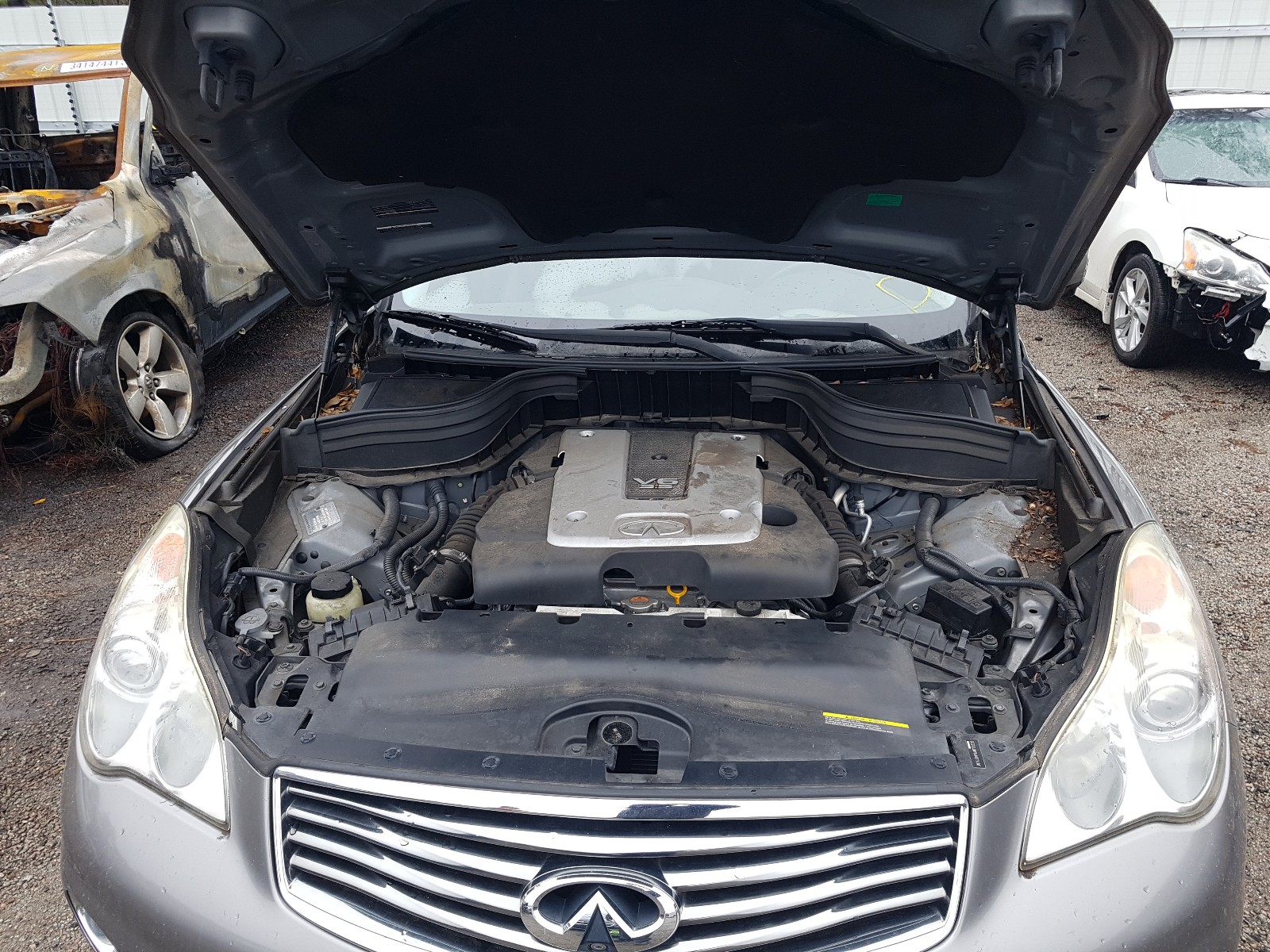 Photo 6 VIN: JN1AJ0HP9AM703225 - INFINITI EX35 BASE 