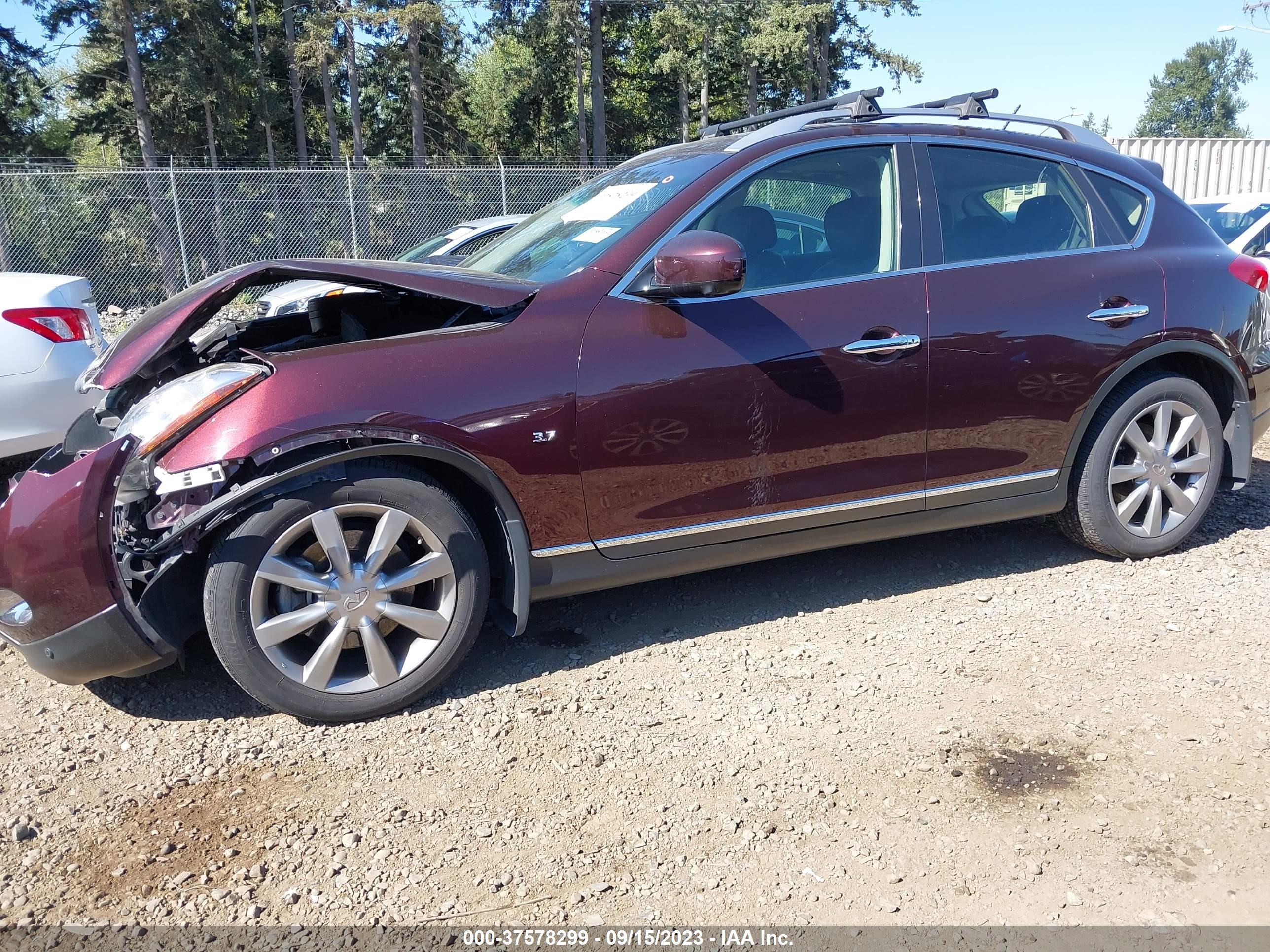 Photo 13 VIN: JN1BJ0HR1FM771693 - INFINITI QX50 