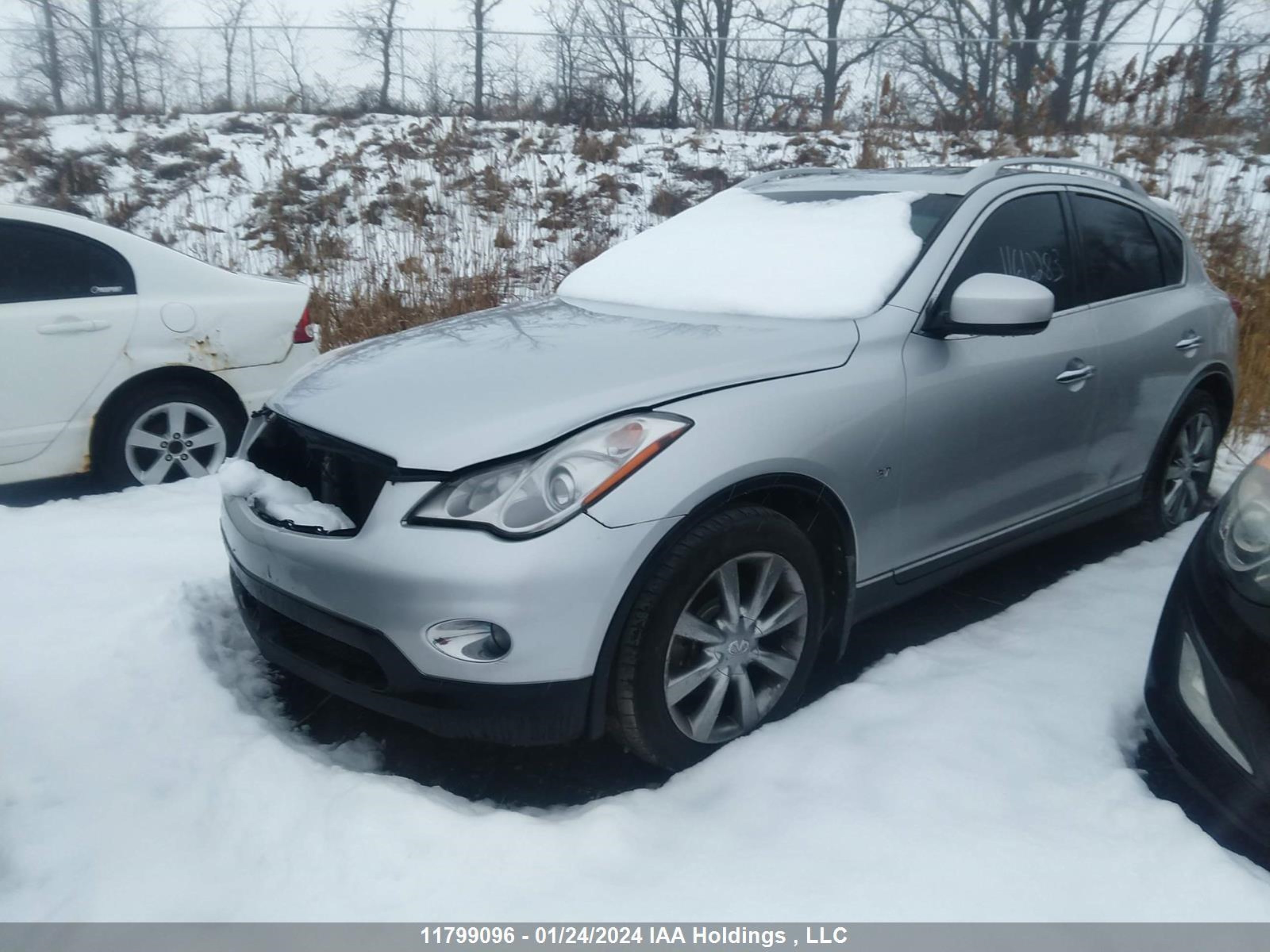 Photo 1 VIN: JN1BJ0HR9EM190702 - INFINITI QX50 