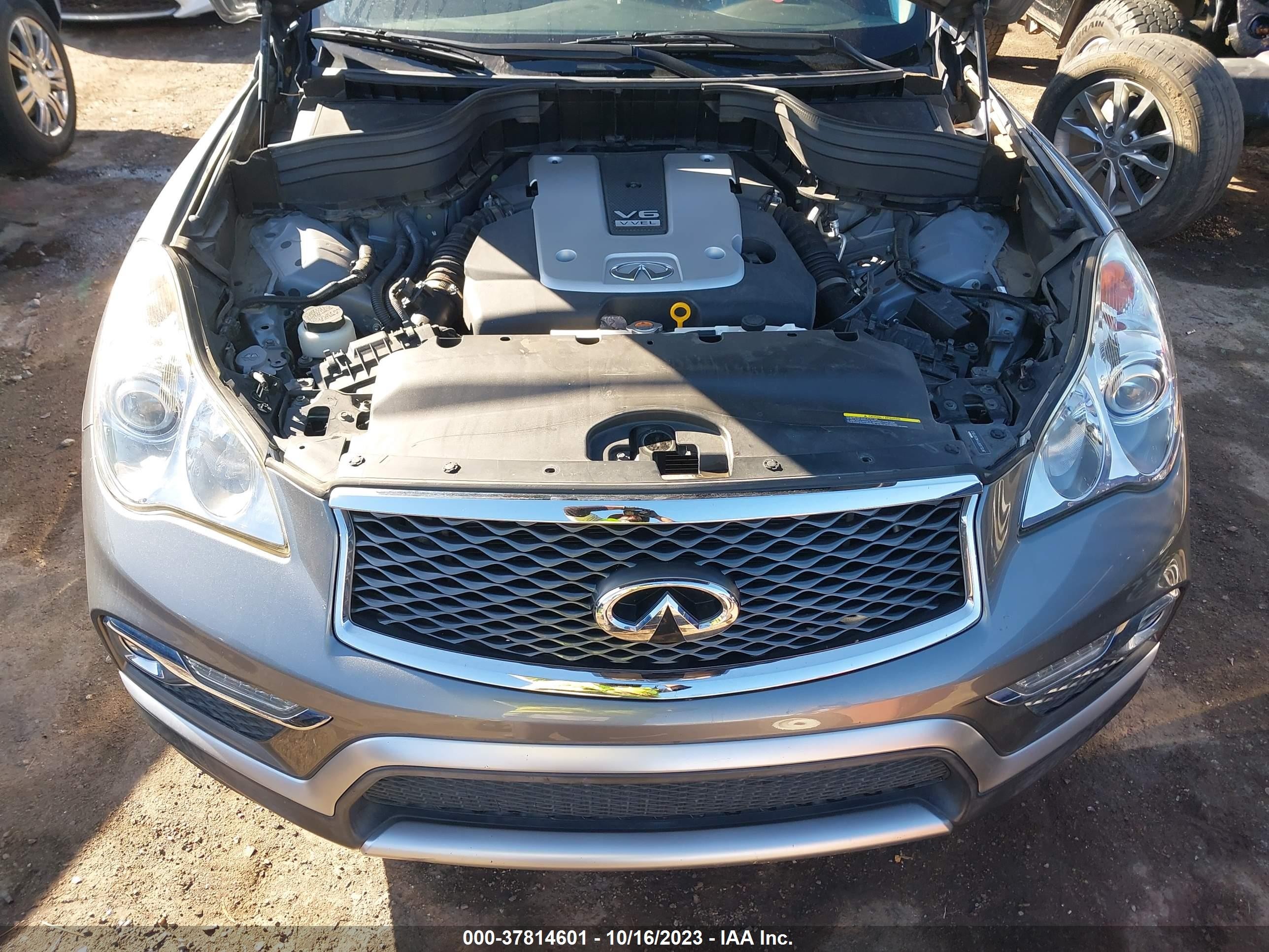 Photo 9 VIN: JN1BJ0RP1HM387963 - INFINITI QX50 