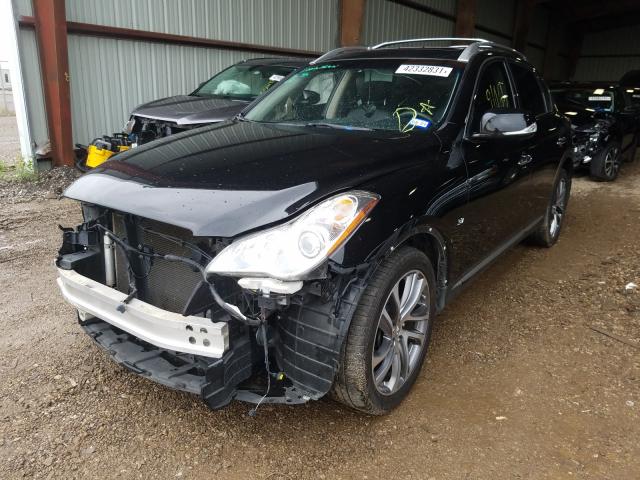 Photo 1 VIN: JN1BJ0RP3GM233768 - INFINITI QX50 