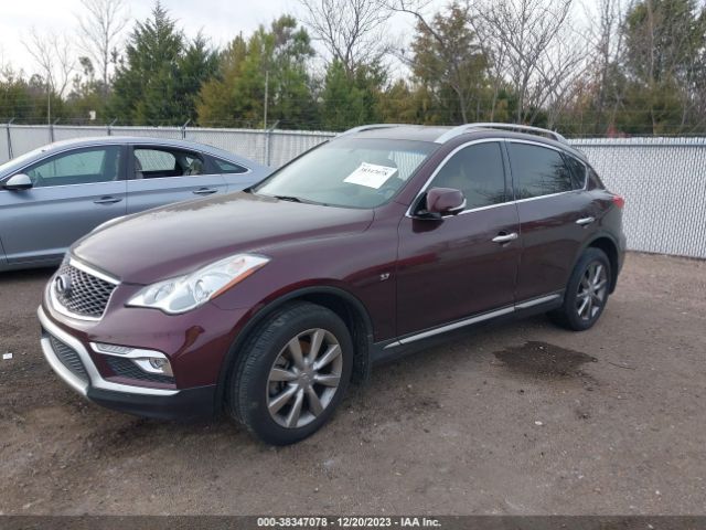 Photo 1 VIN: JN1BJ0RP5GM231276 - INFINITI QX50 