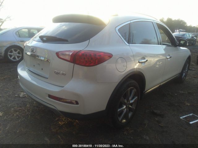 Photo 3 VIN: JN1BJ0RP6GM232954 - INFINITI QX50 