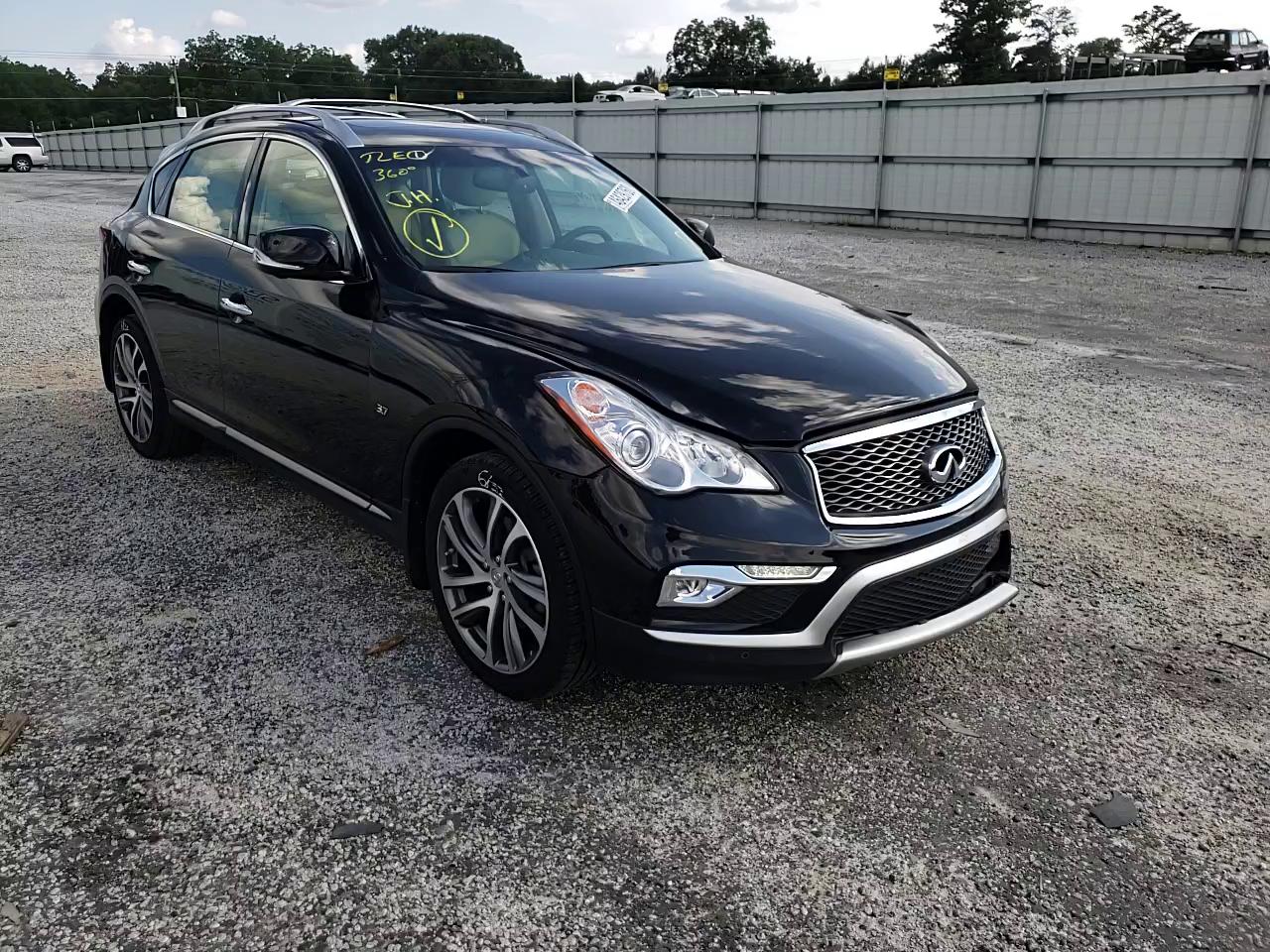 Photo 10 VIN: JN1BJ0RP6HM387229 - INFINITI QX50 