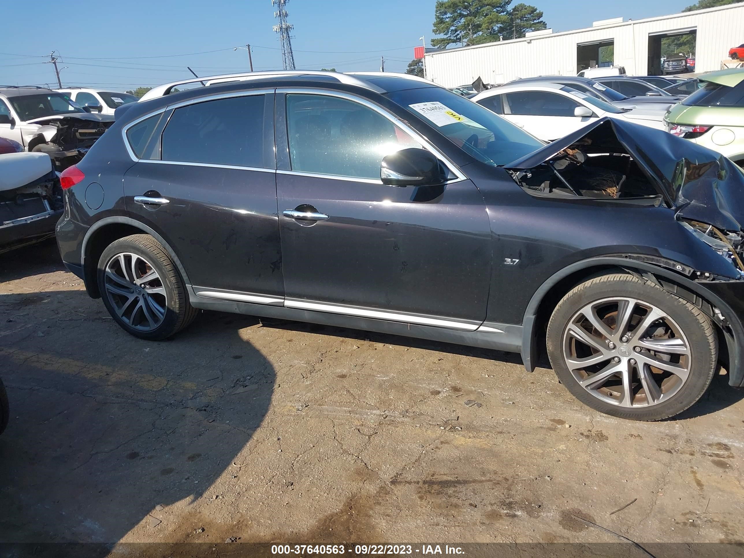 Photo 12 VIN: JN1BJ0RPXGM230981 - INFINITI QX50 